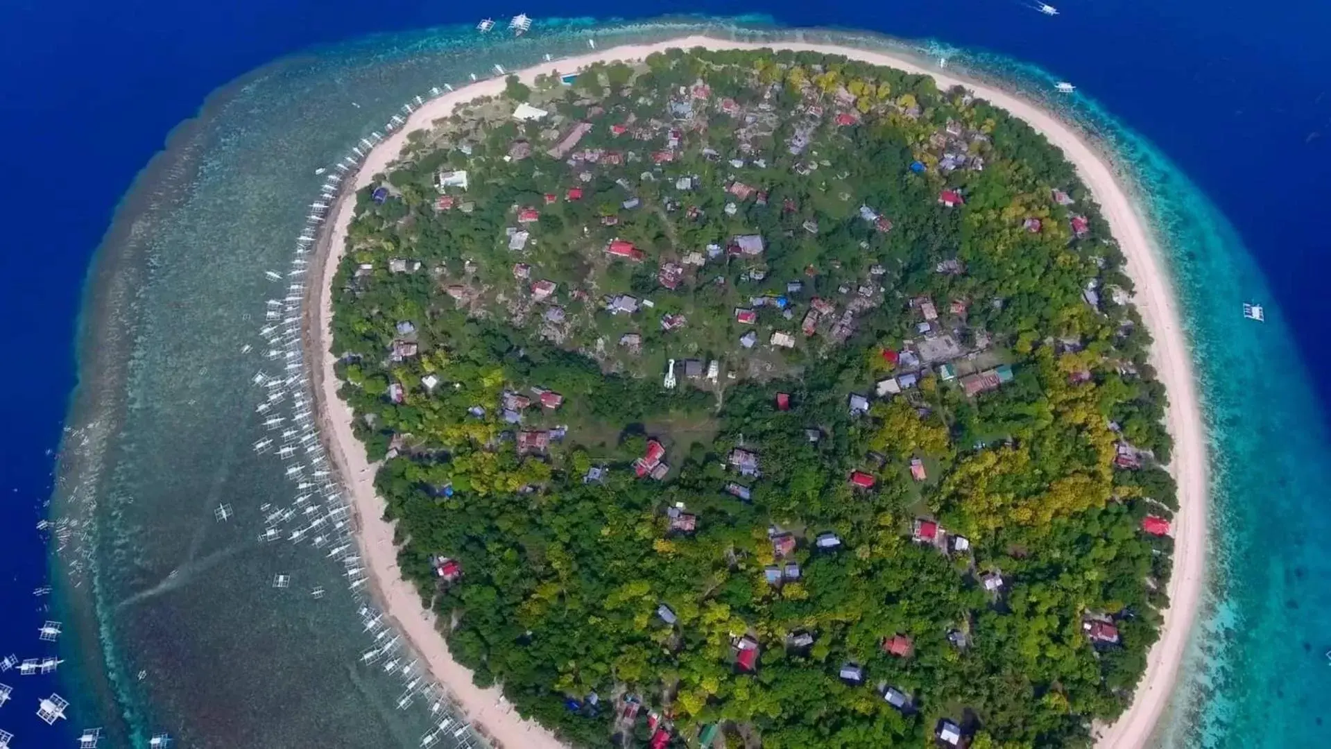 Diving, Bird's-eye View in Bohol Sea Resort
