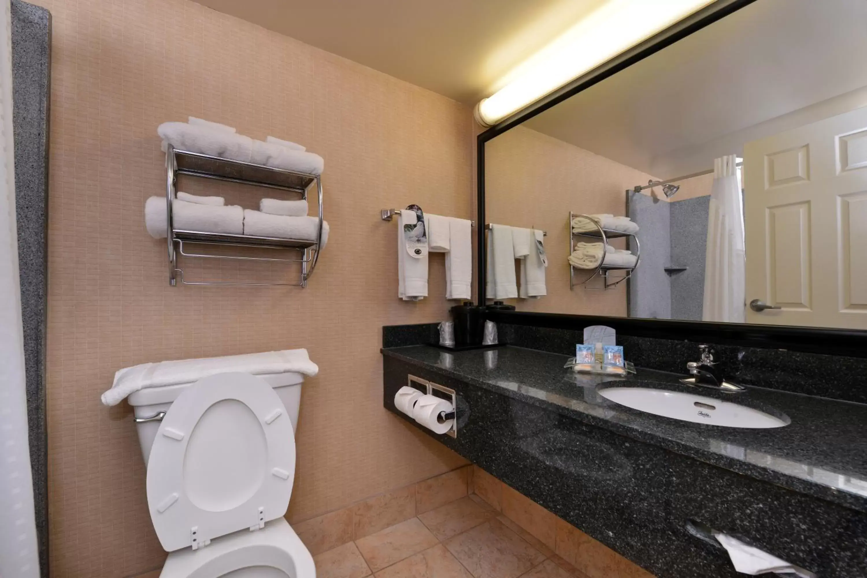 Shower, Bathroom in Holiday Inn Martinsburg, an IHG Hotel
