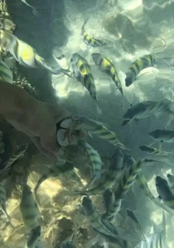 Pousada São Miguel dos Milagres