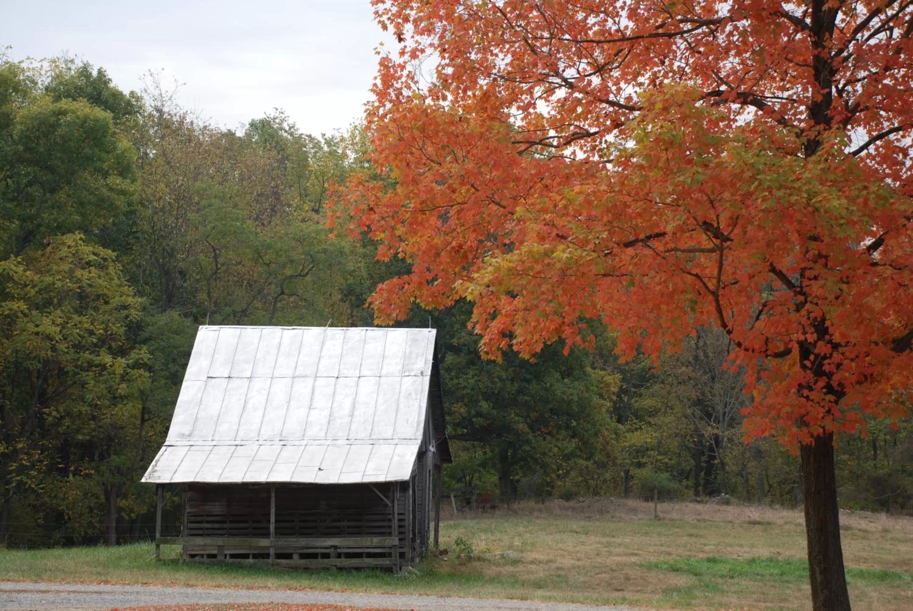 View (from property/room) in Rockwood Manor Bed & Breakfast