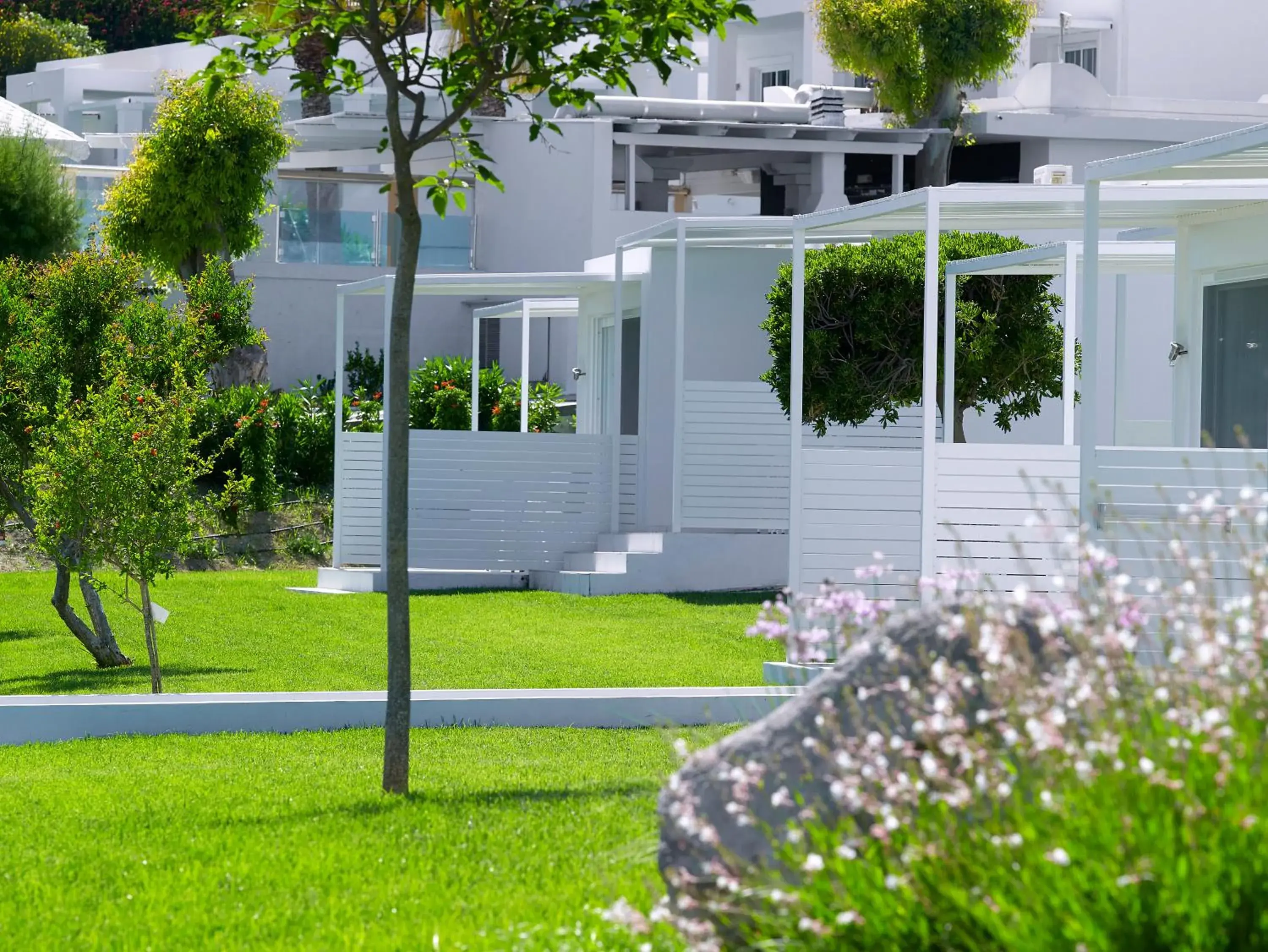 Garden view in Dimitra Beach Hotel & Suites Garden view in Dimitra Beach Hotel & Suites