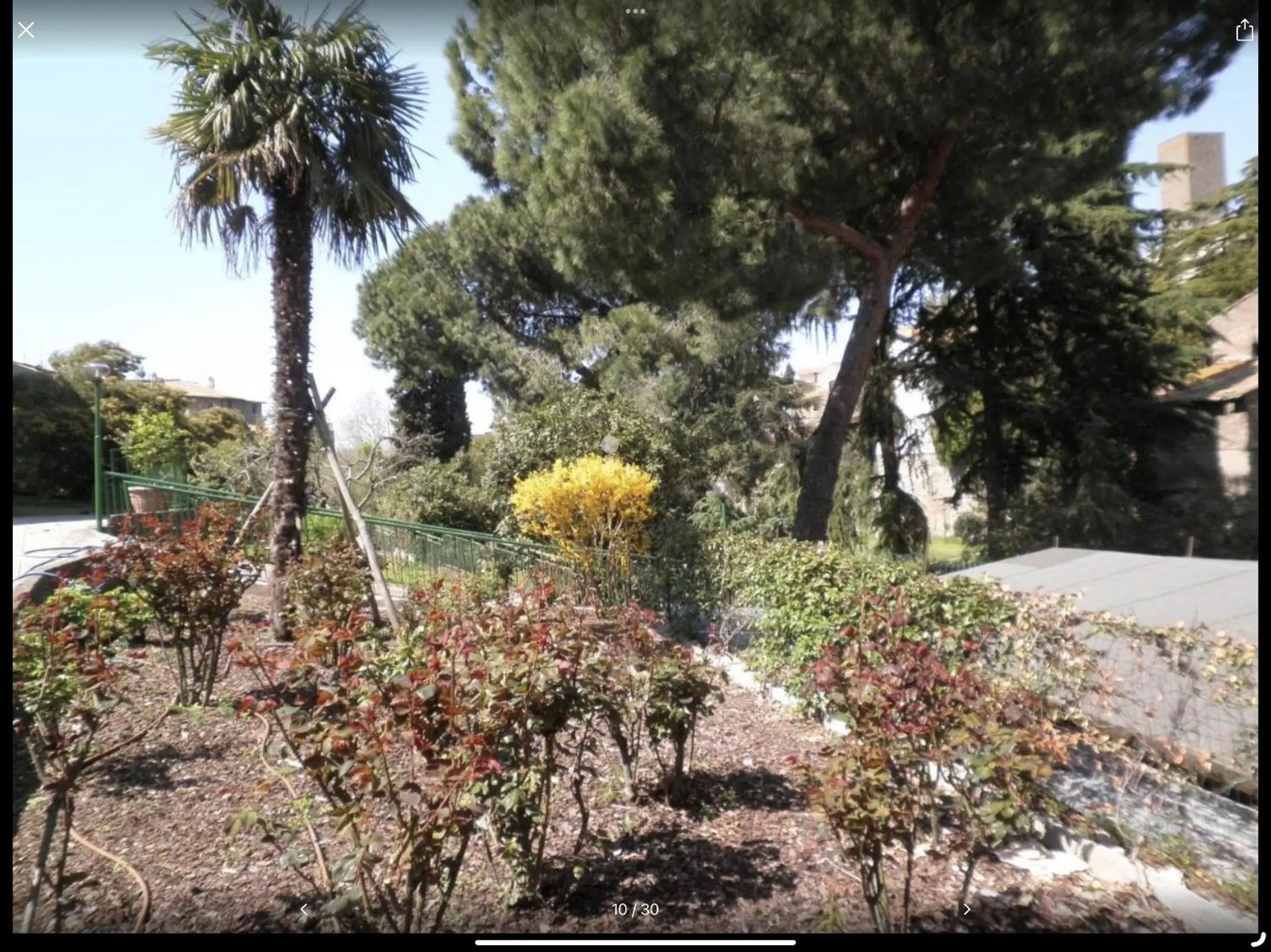 Garden view in Nazareth Residence