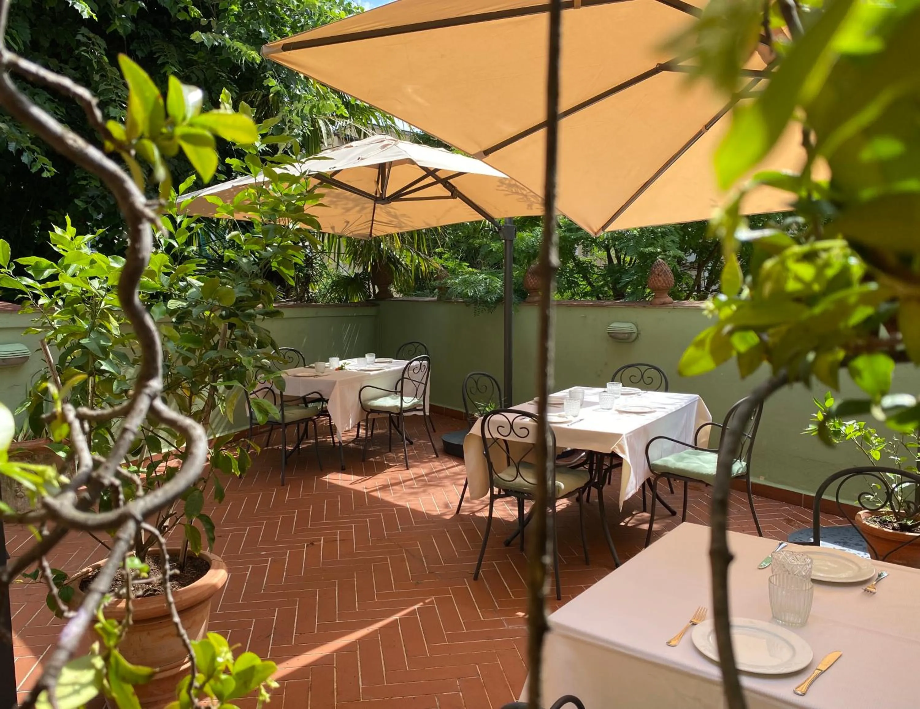 Breakfast in Hotel David