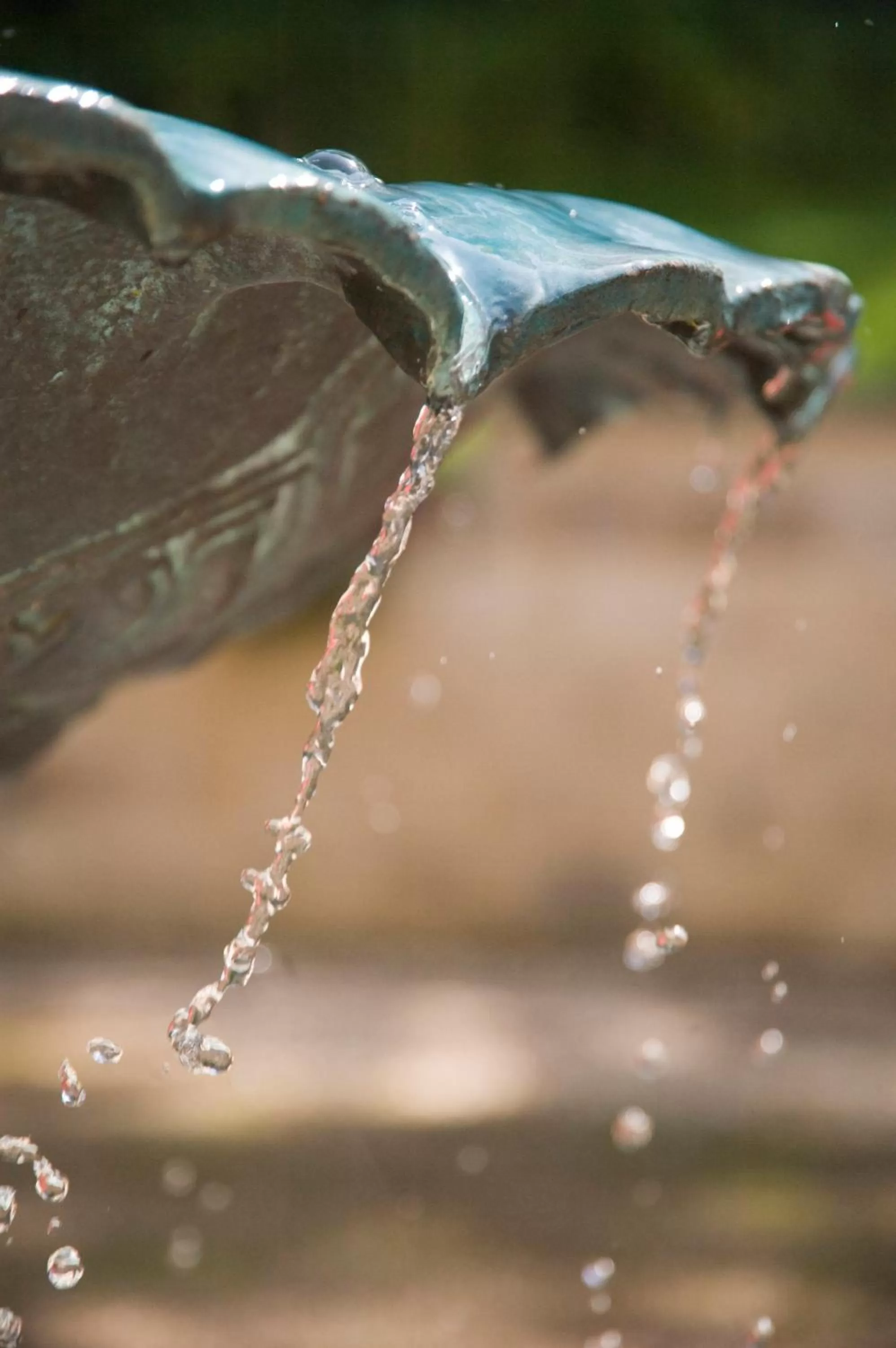 Decorative detail in Bourne Hall Country Hotel