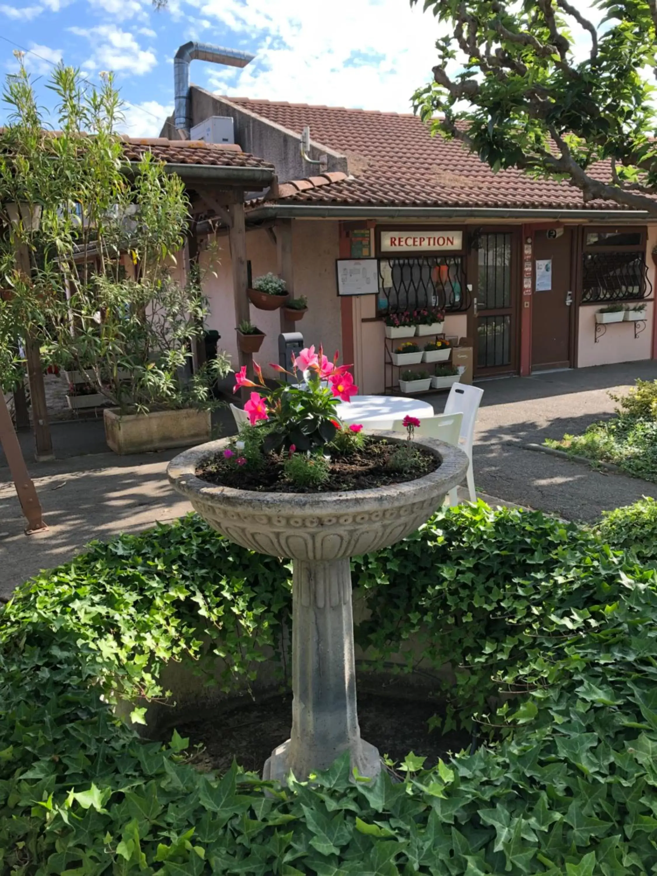 Lobby or reception, Property Building in Hotel Cristol