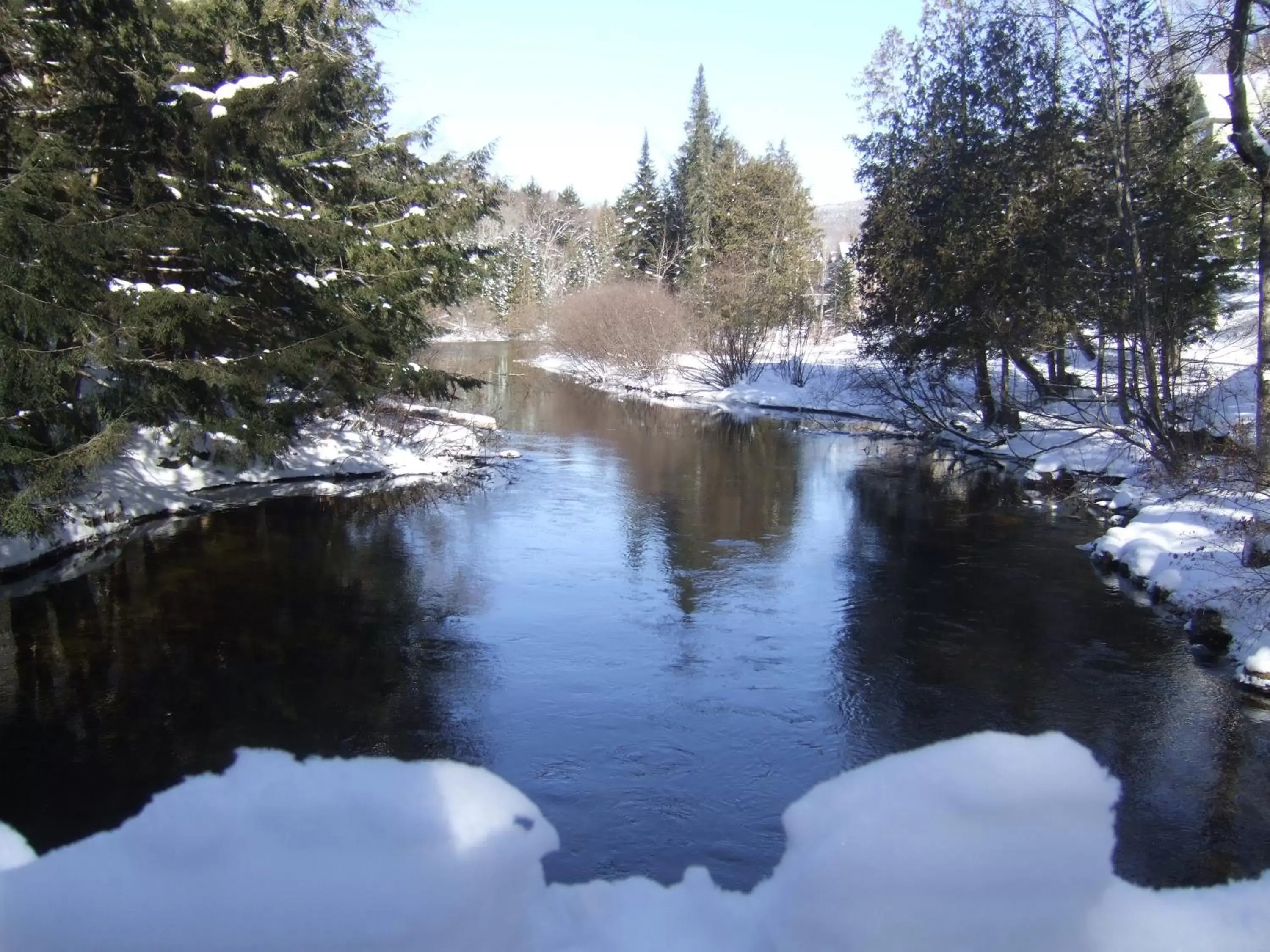 Area and facilities, Lake View in Auberge Le Lupin B&B-Self Check-in