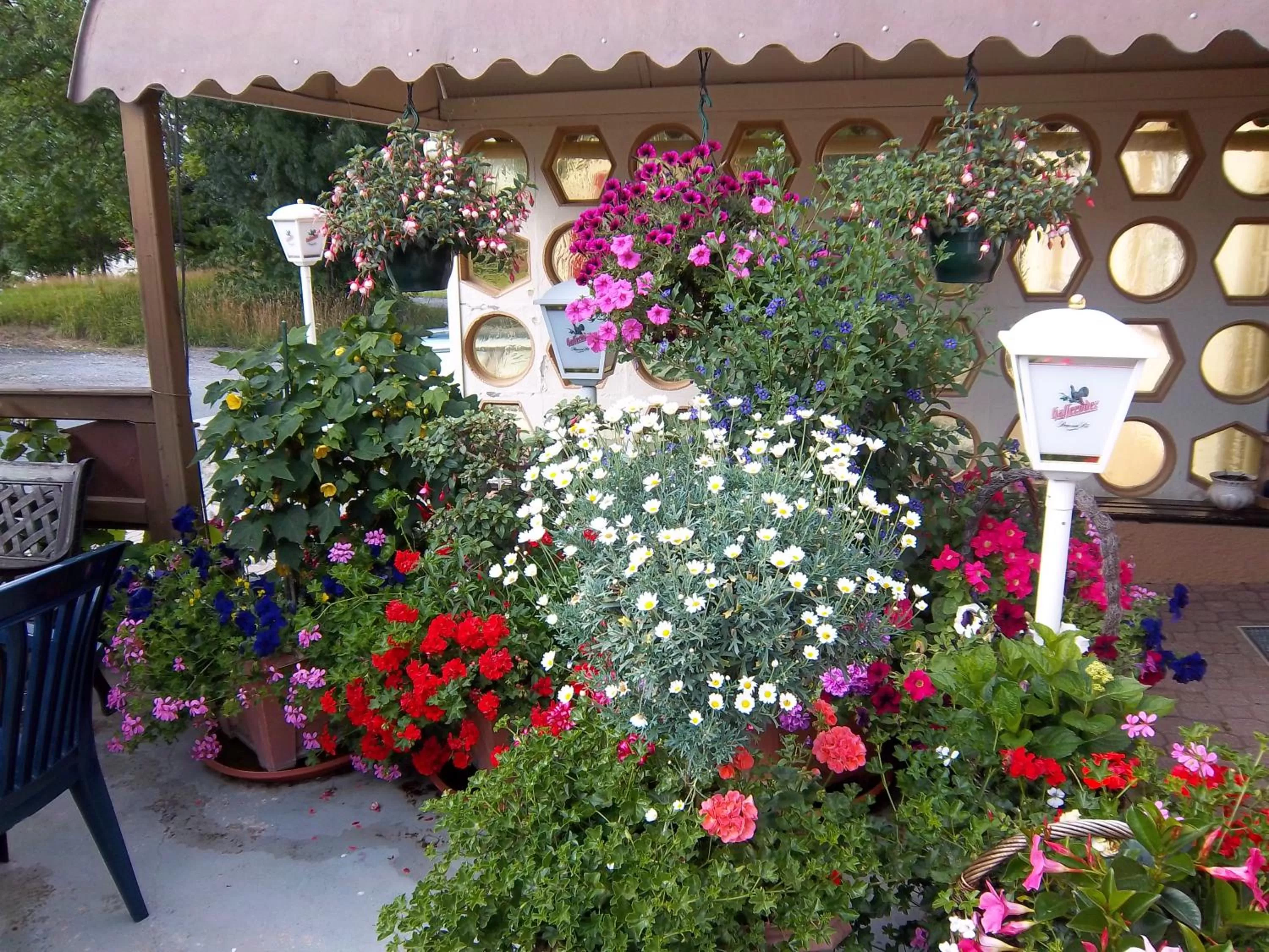 Balcony/Terrace in Hotel & Pension Aßmann