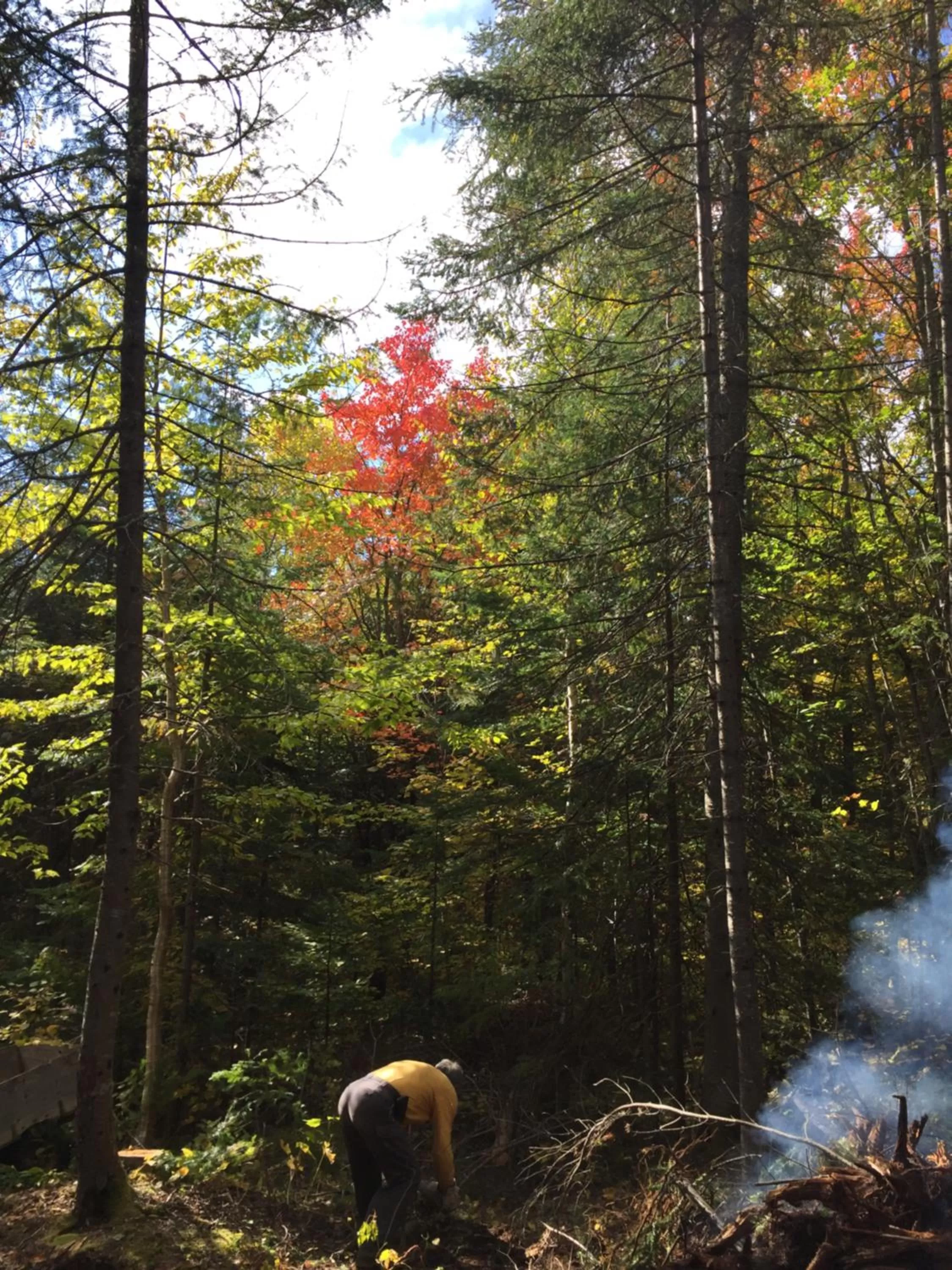 Natural landscape in Gîte de la Montagne Enchantée
