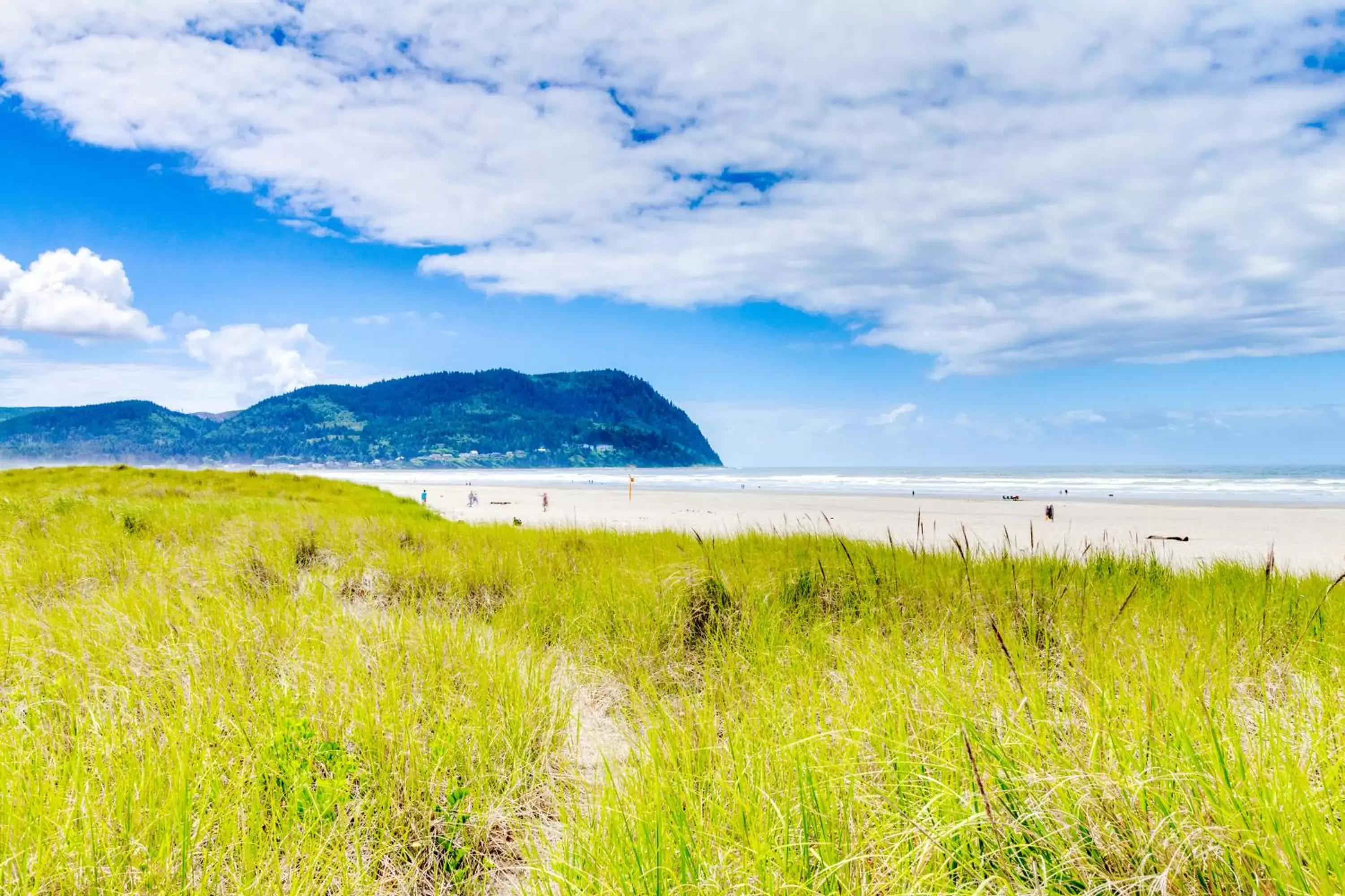 Natural Landscape in Sand & Sea: The Promenade (100)