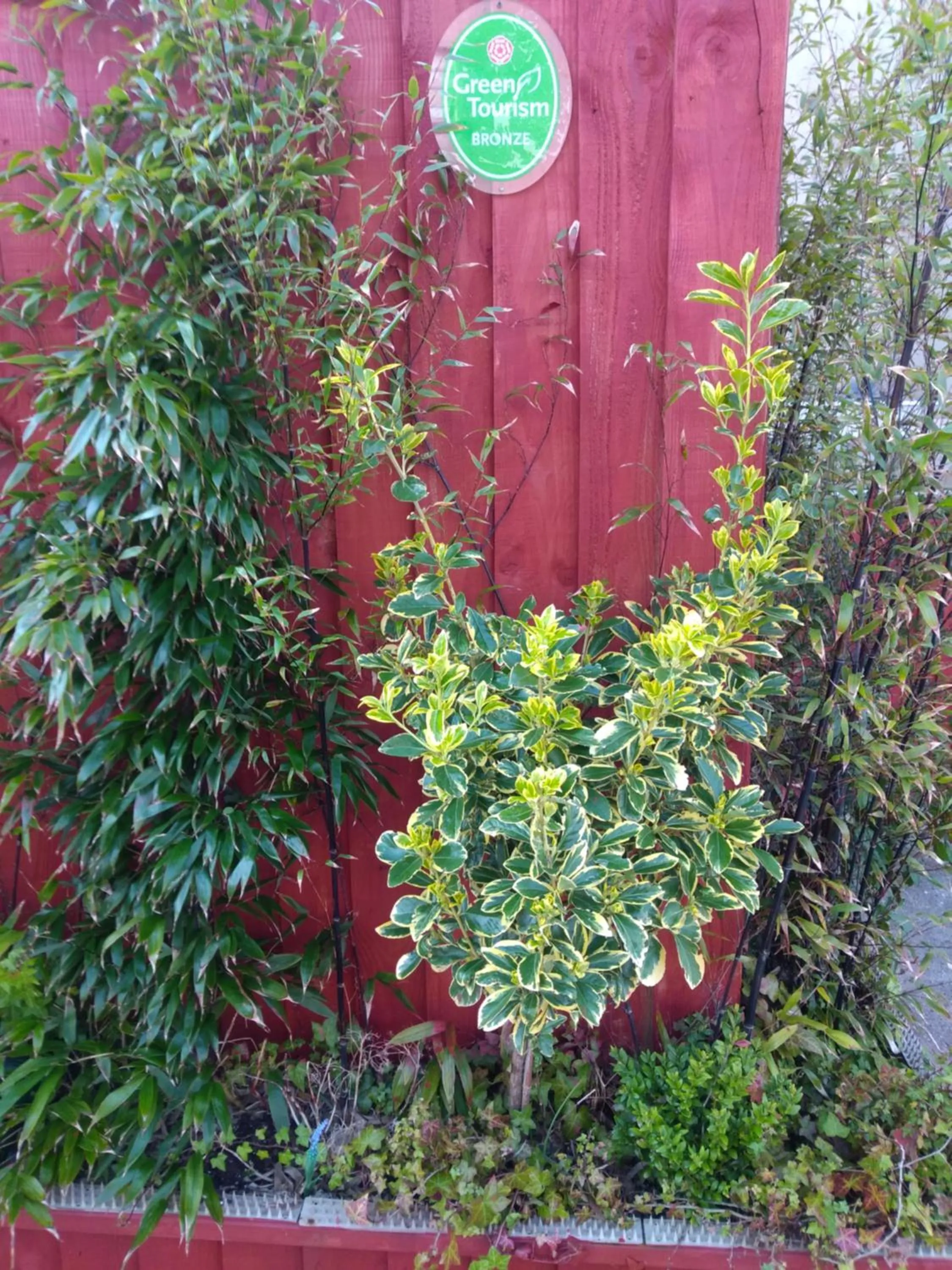 Property building in Haven House