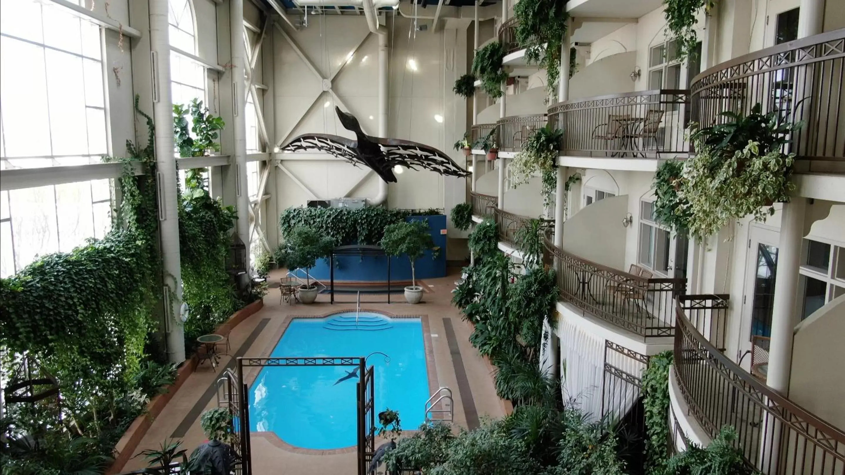 Day, Pool View in Hotel L'Oie des neiges