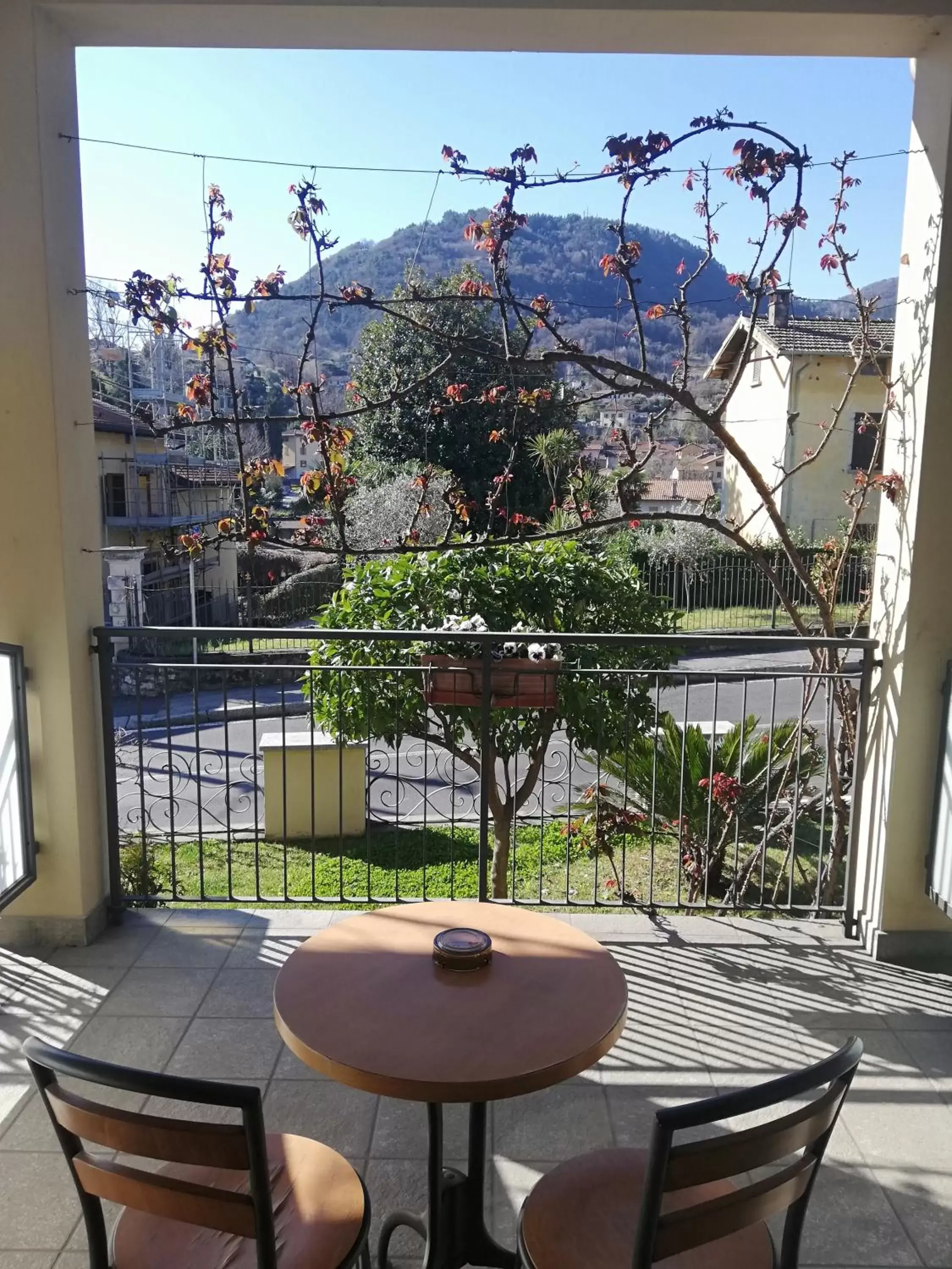 Balcony/Terrace in Hotel Fioroni