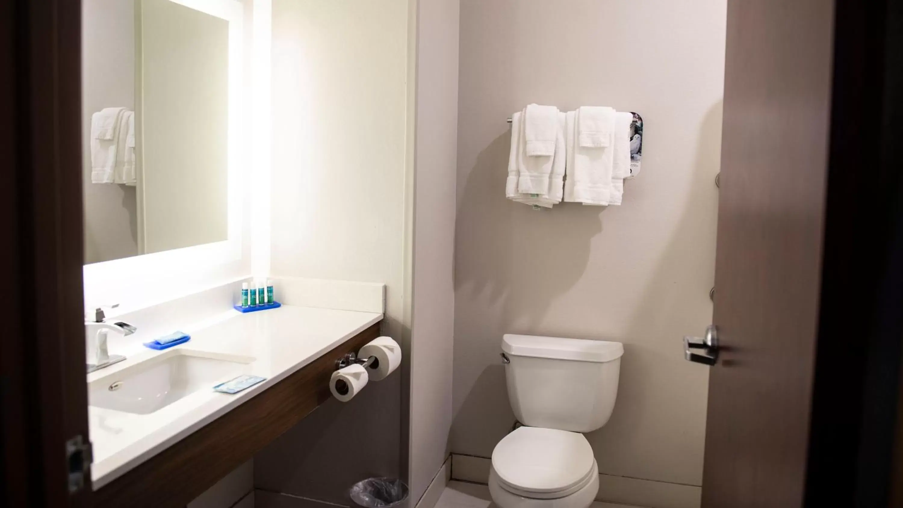 Bathroom in Holiday Inn Express Hotel & Suites Sedalia, an IHG Hotel