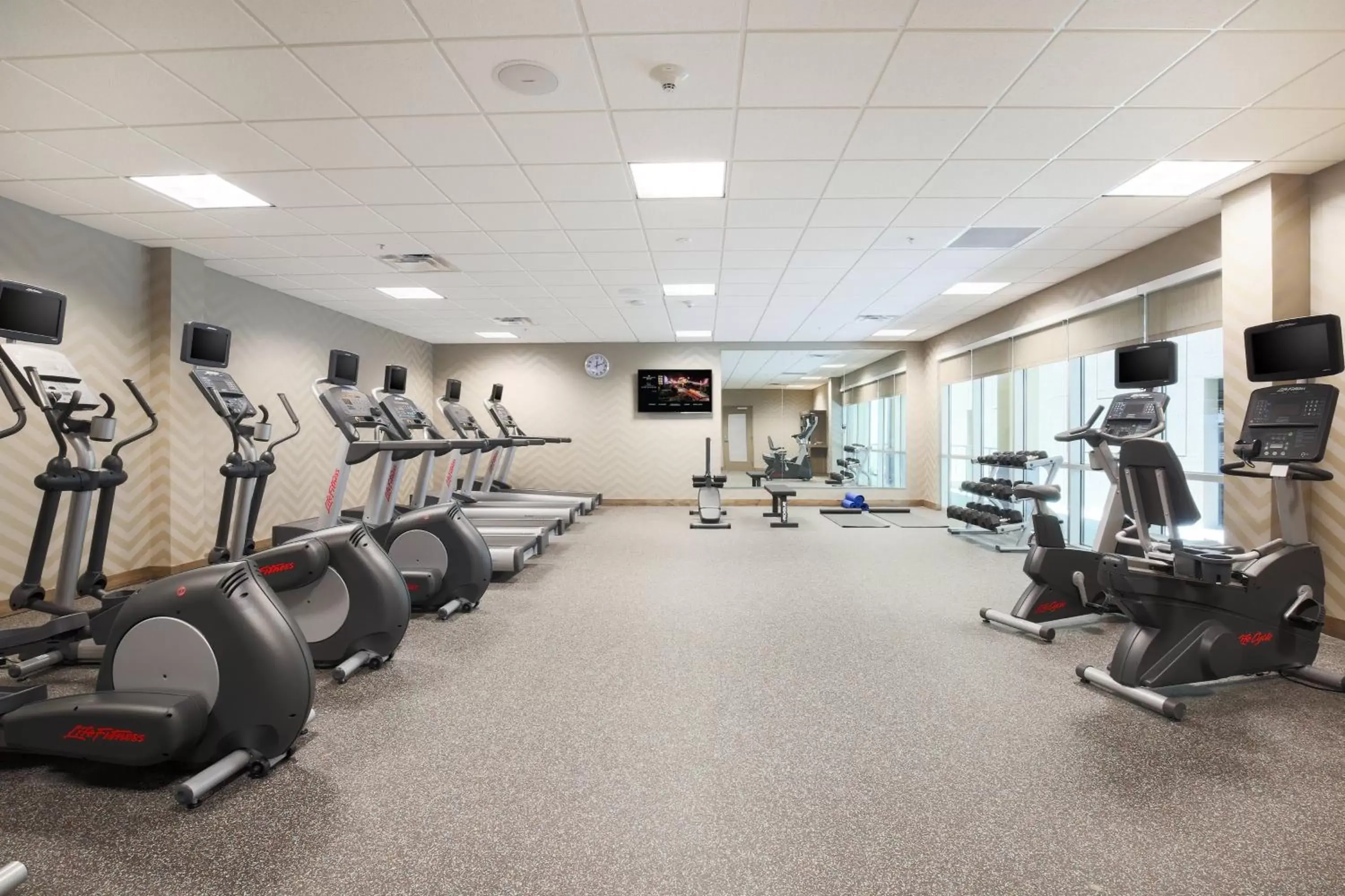 Fitness centre/facilities, Fitness Center/Facilities in SpringHill Suites by Marriott San Jose Airport