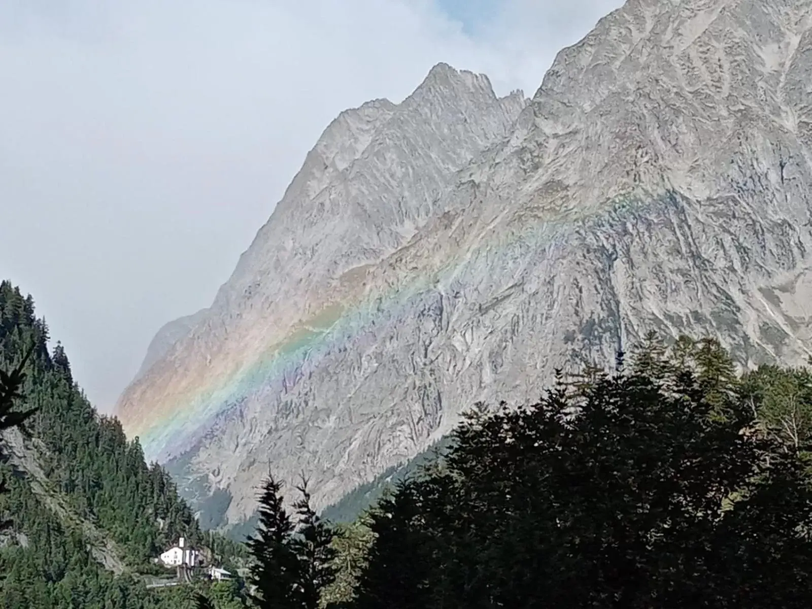 Natural Landscape in Hotel Astoria