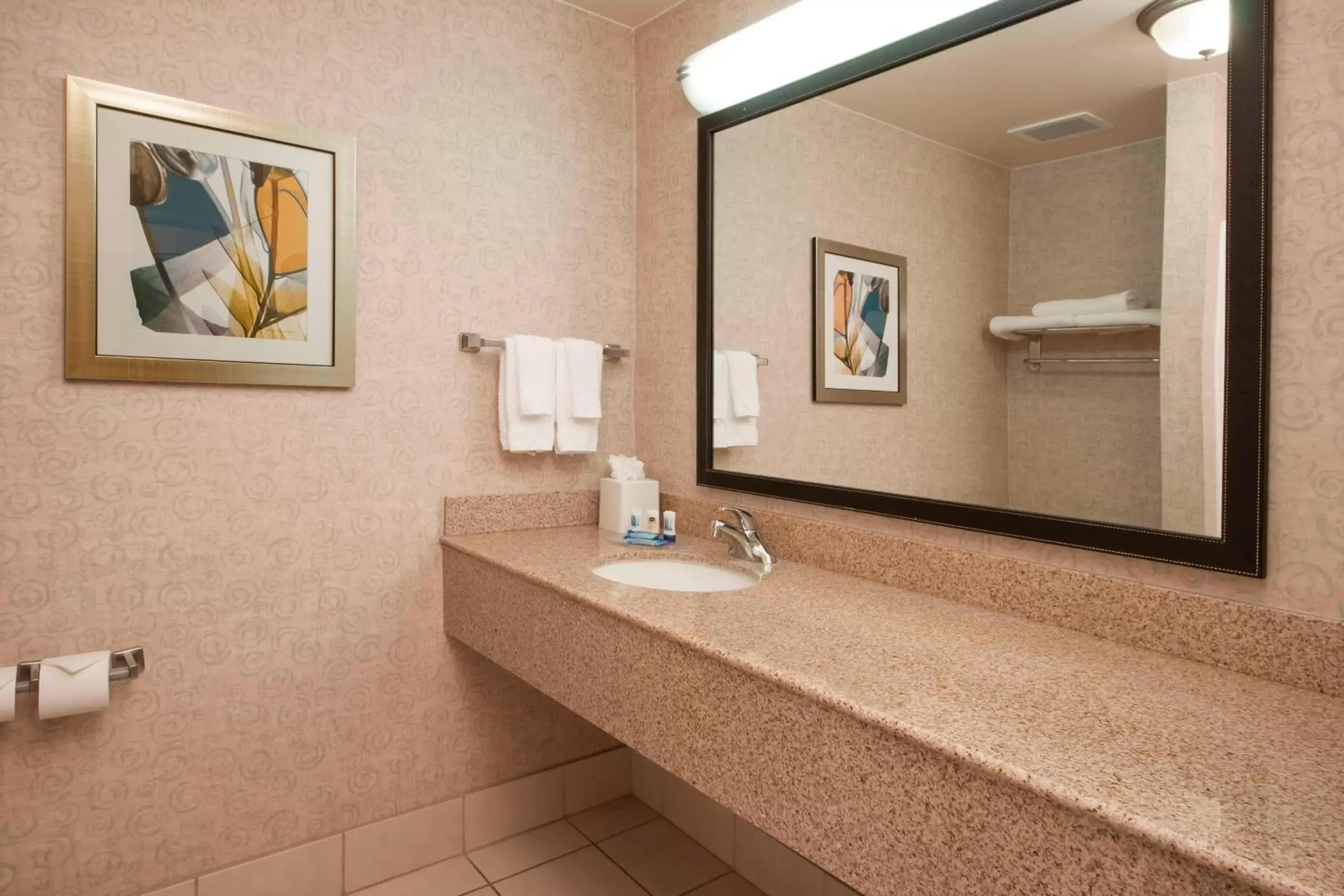 Bathroom in Fairfield Inn & Suites El Centro