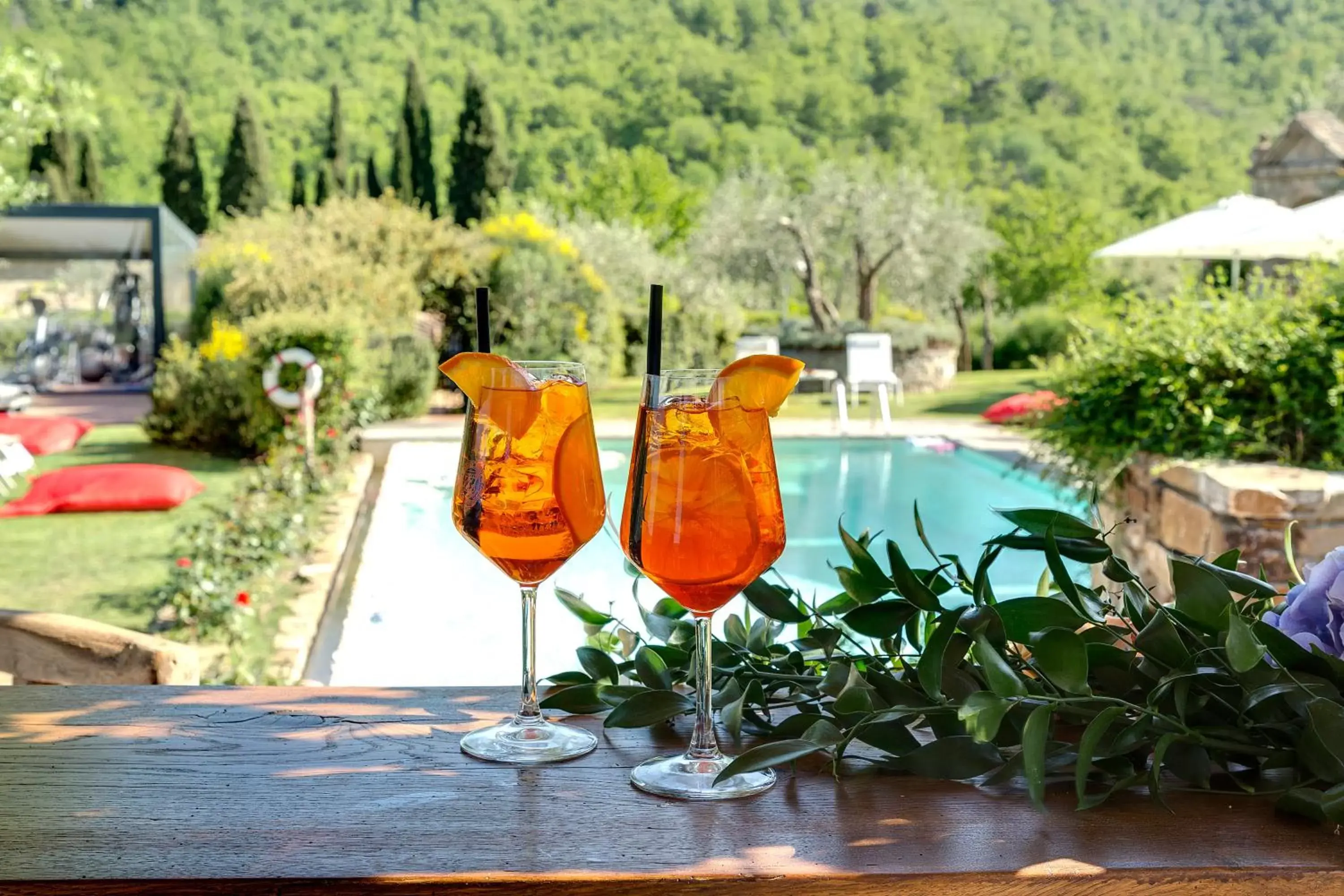 Pool view in Terre di Baccio