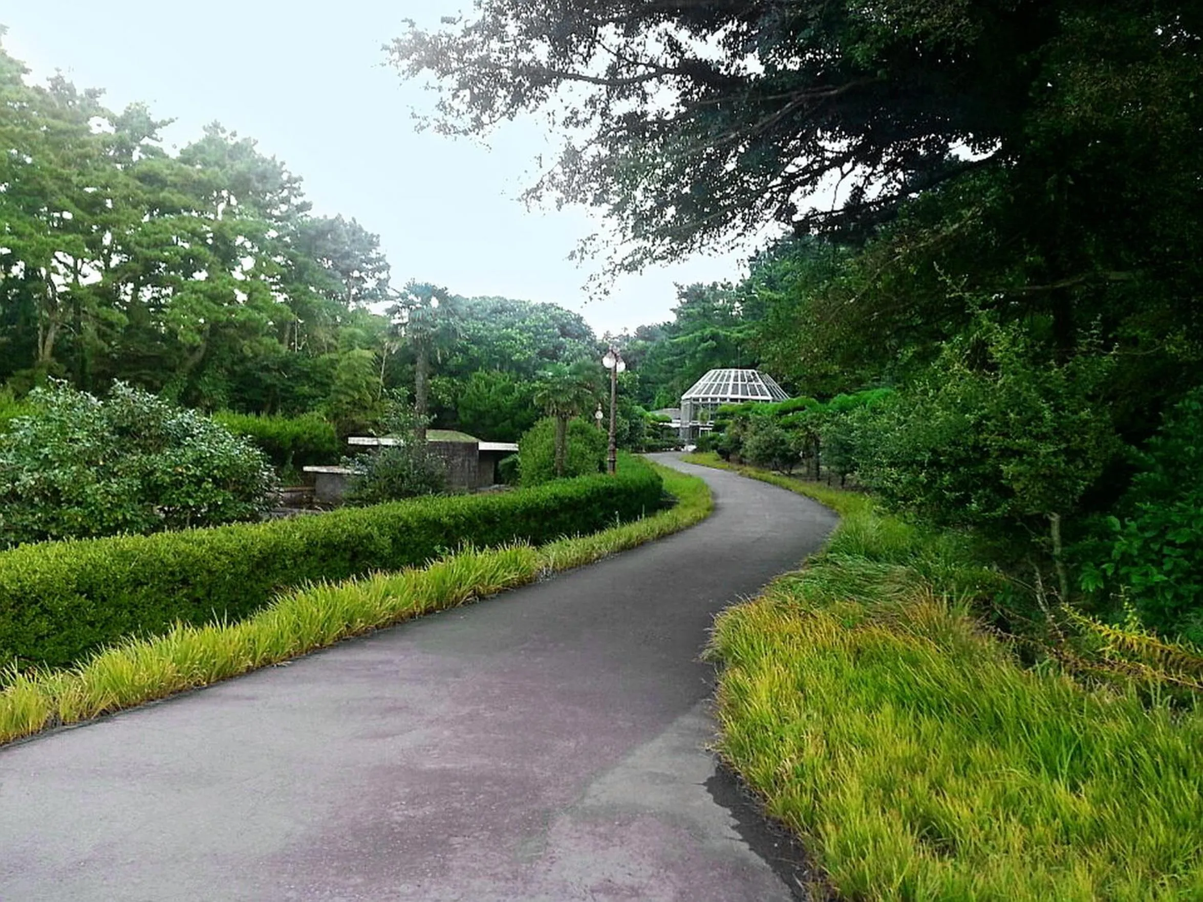 Neighbourhood in Seogwipo KAL Hotel