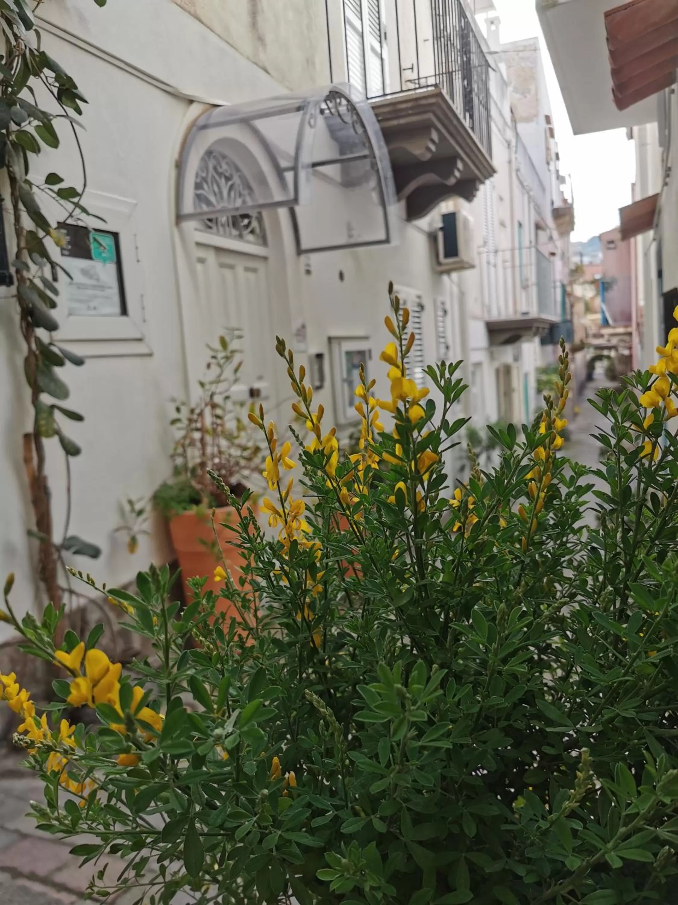 Property building in Lo Nardo Accommodation