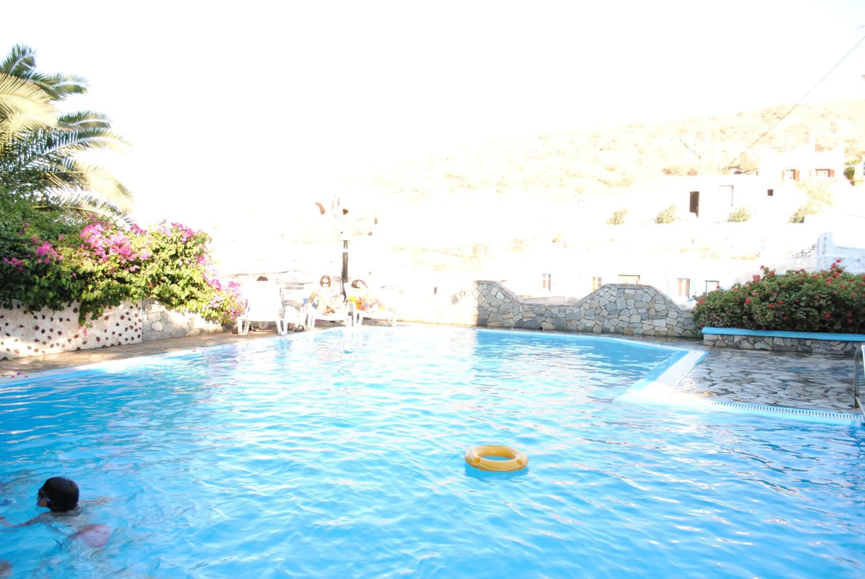 Swimming pool in Porto Castello
