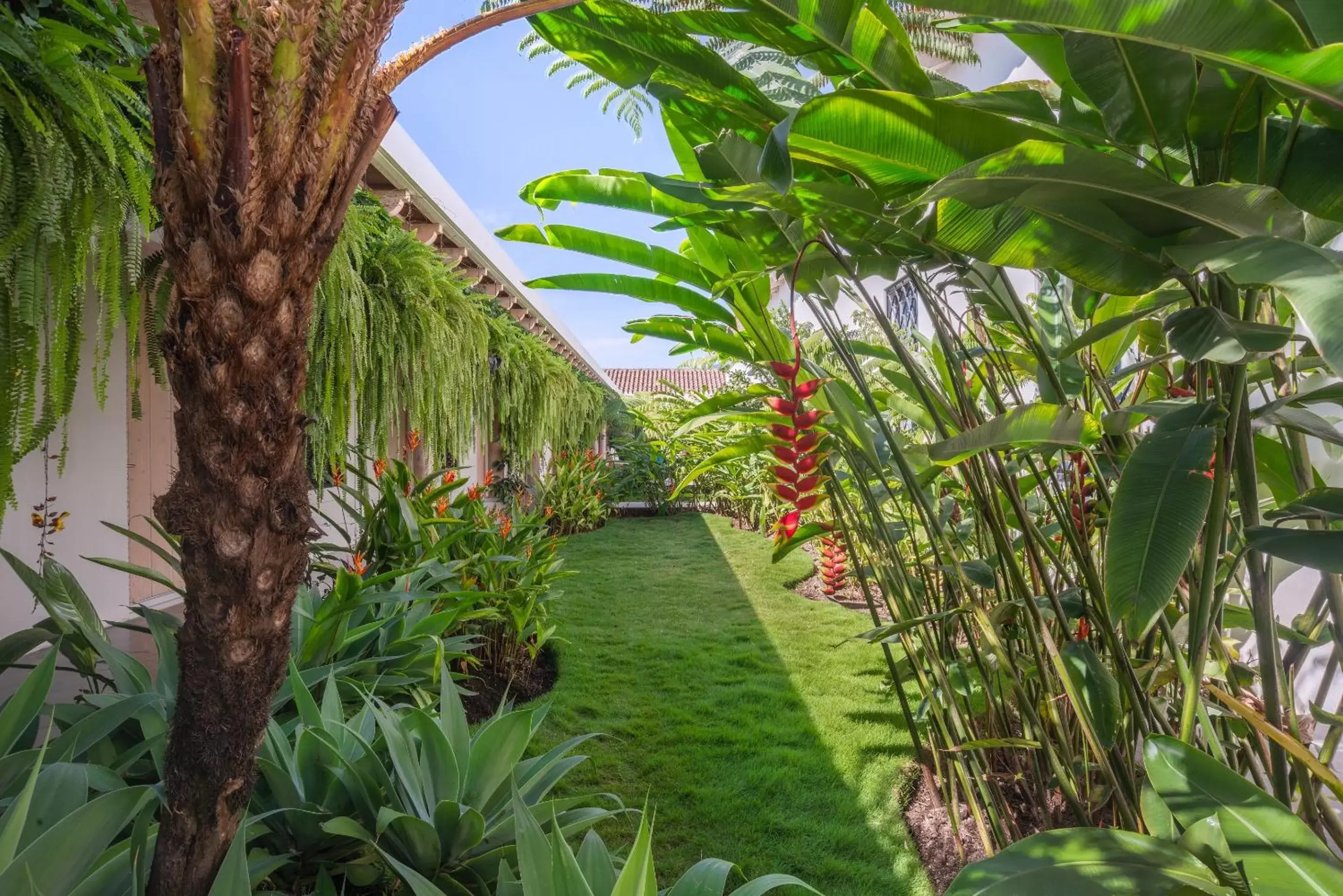 Garden in Good Hotel Antigua