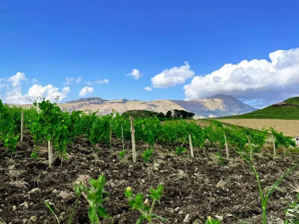 Natural Landscape in Corleone GUESTHOUSE