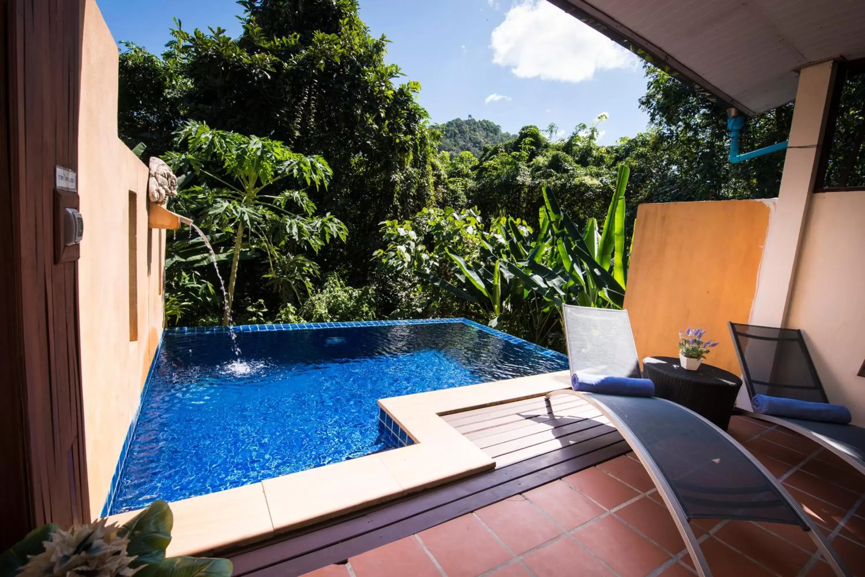 Deluxe Double Room with Private Pool in Koh Chang Cliff Beach Resort