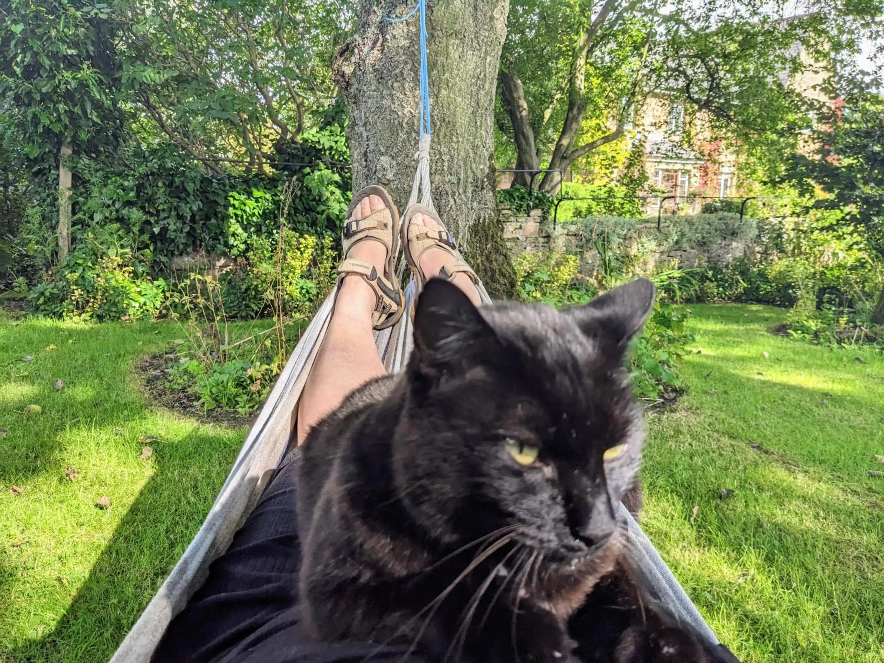 Garden in Thornley House