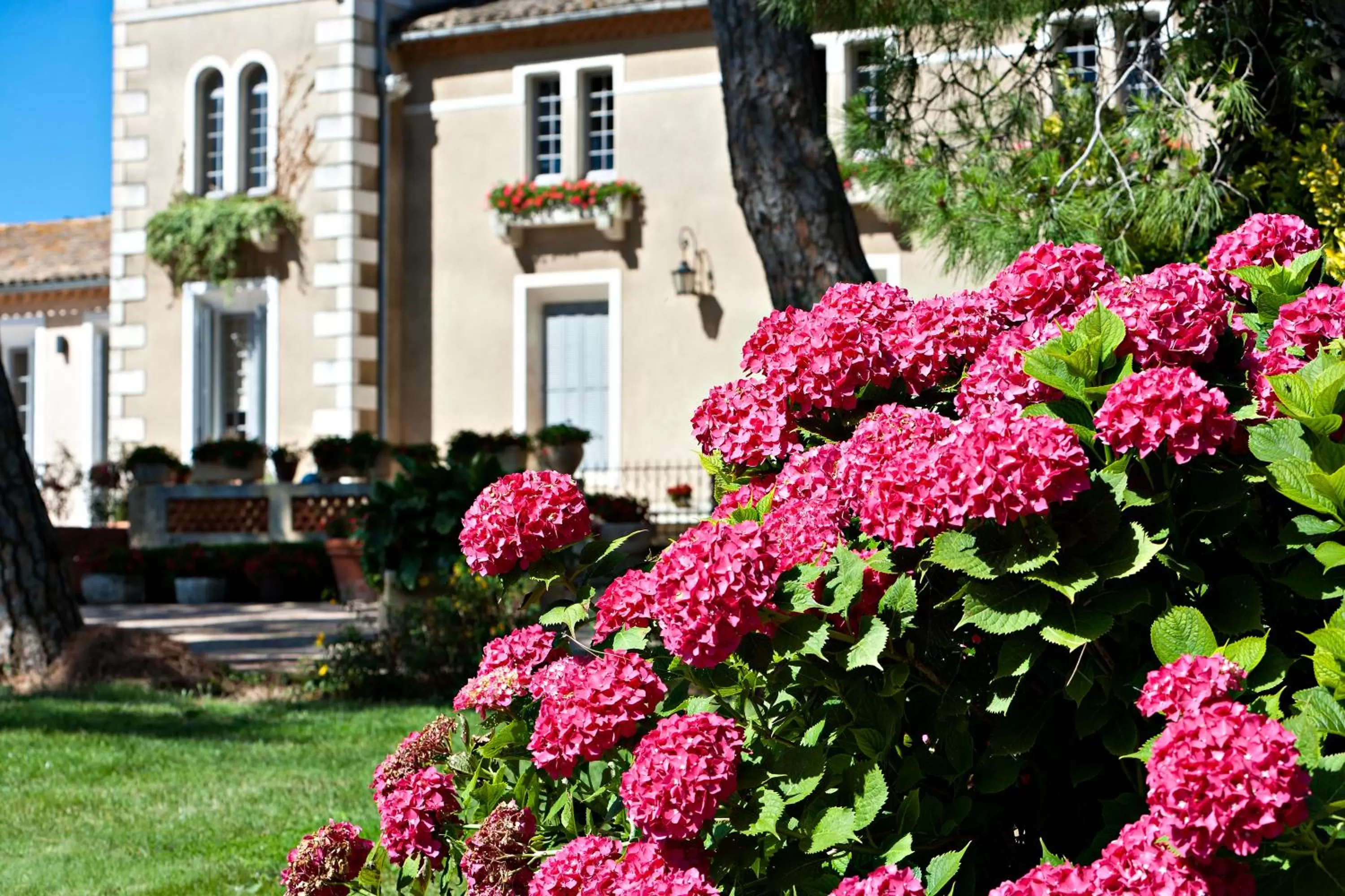 Le Mas de l'Espérance - Chambres d'hôtes de Prestige