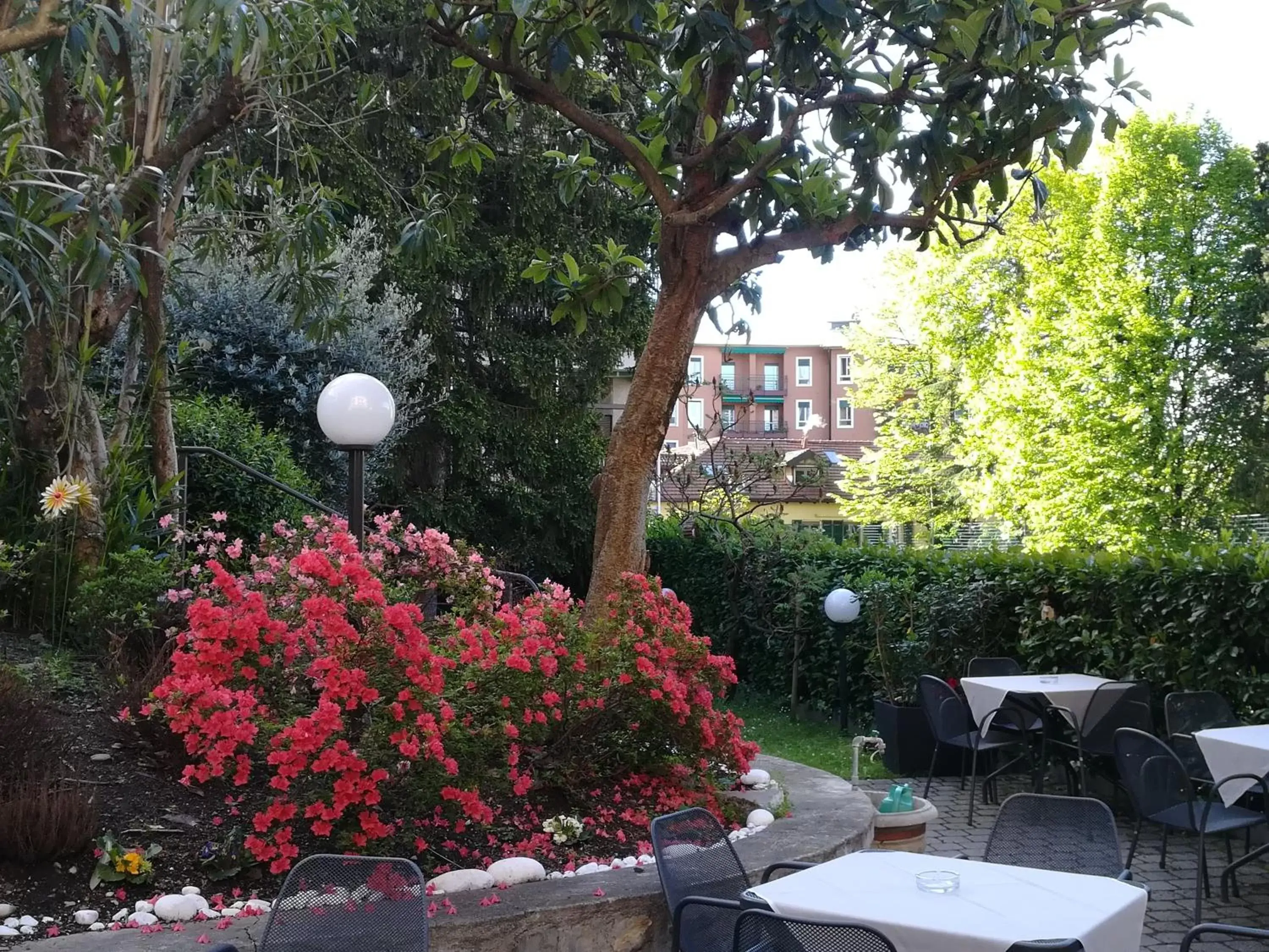 Garden in Hotel Quarcino