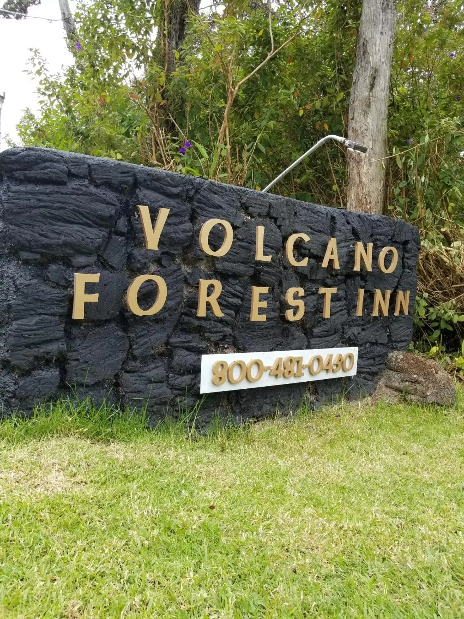 Property logo or sign, Property Logo/Sign in Volcano Forest Inn