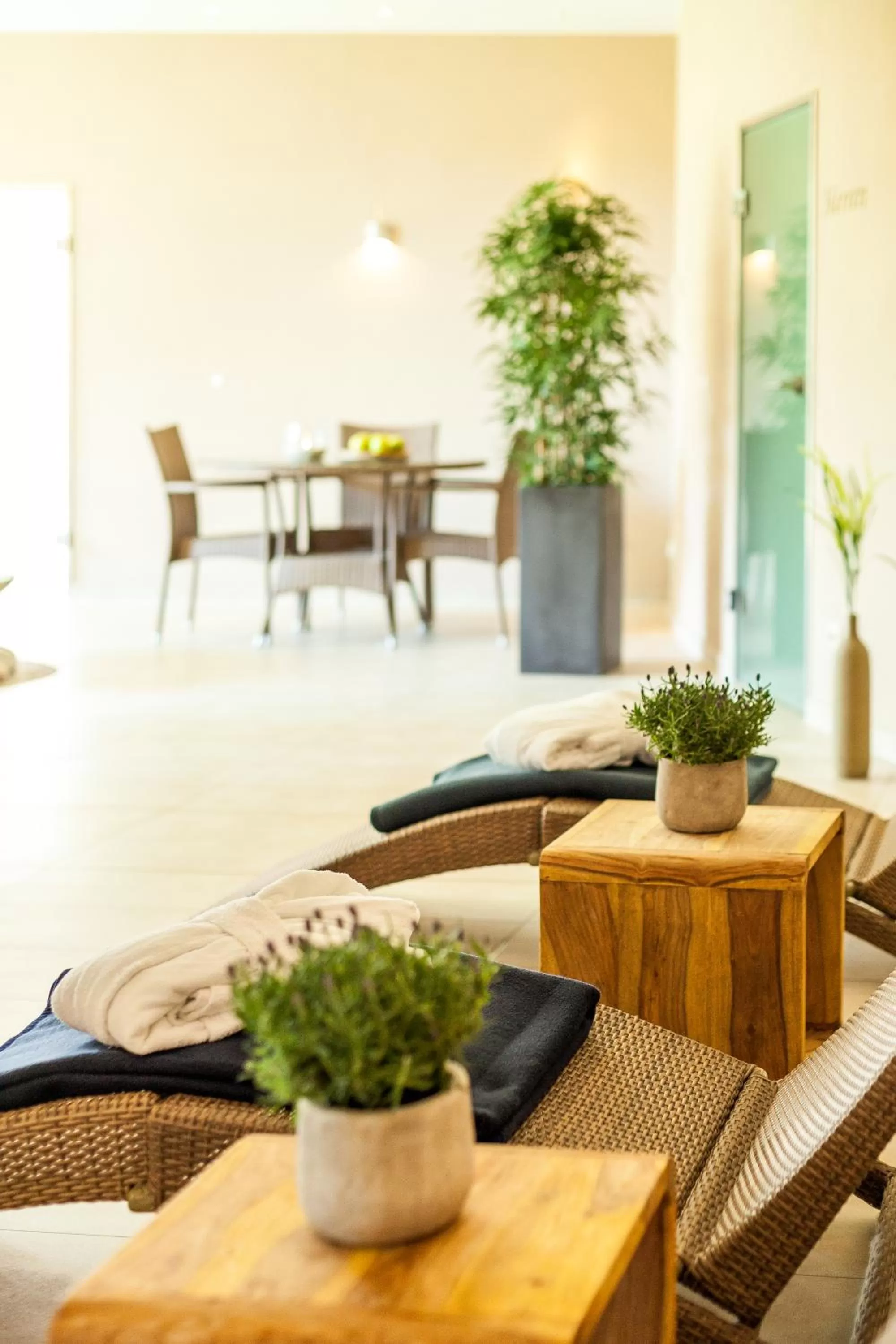 Spa and wellness centre/facilities in Strandhafer Aparthotel