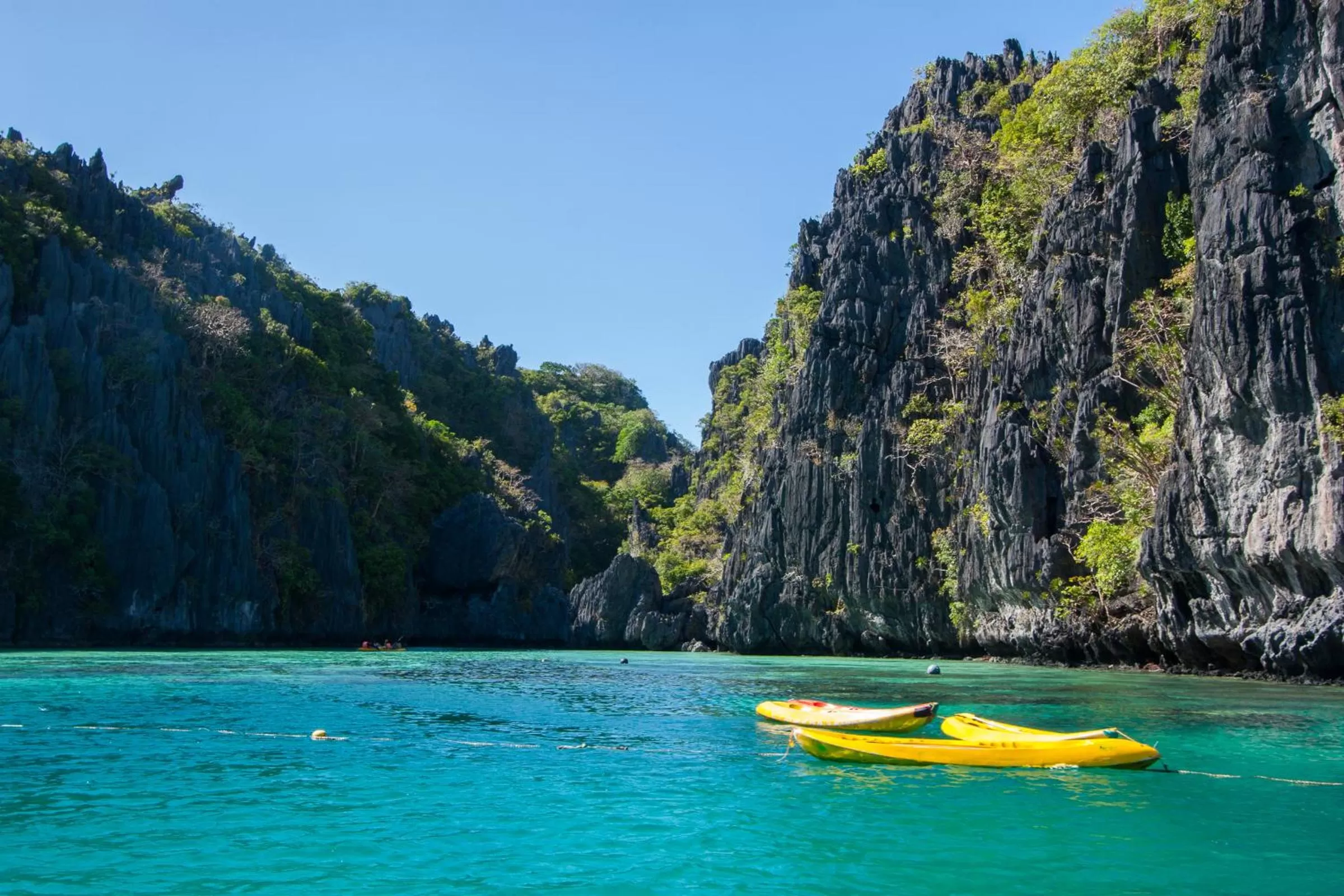 Natural landscape in Cauayan Island Resort and Spa