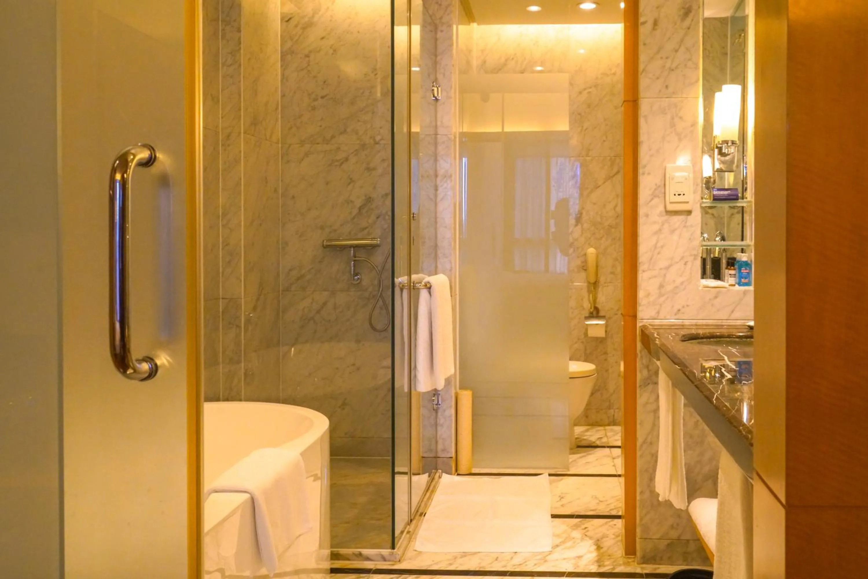 Hyatt Regency Dongguan