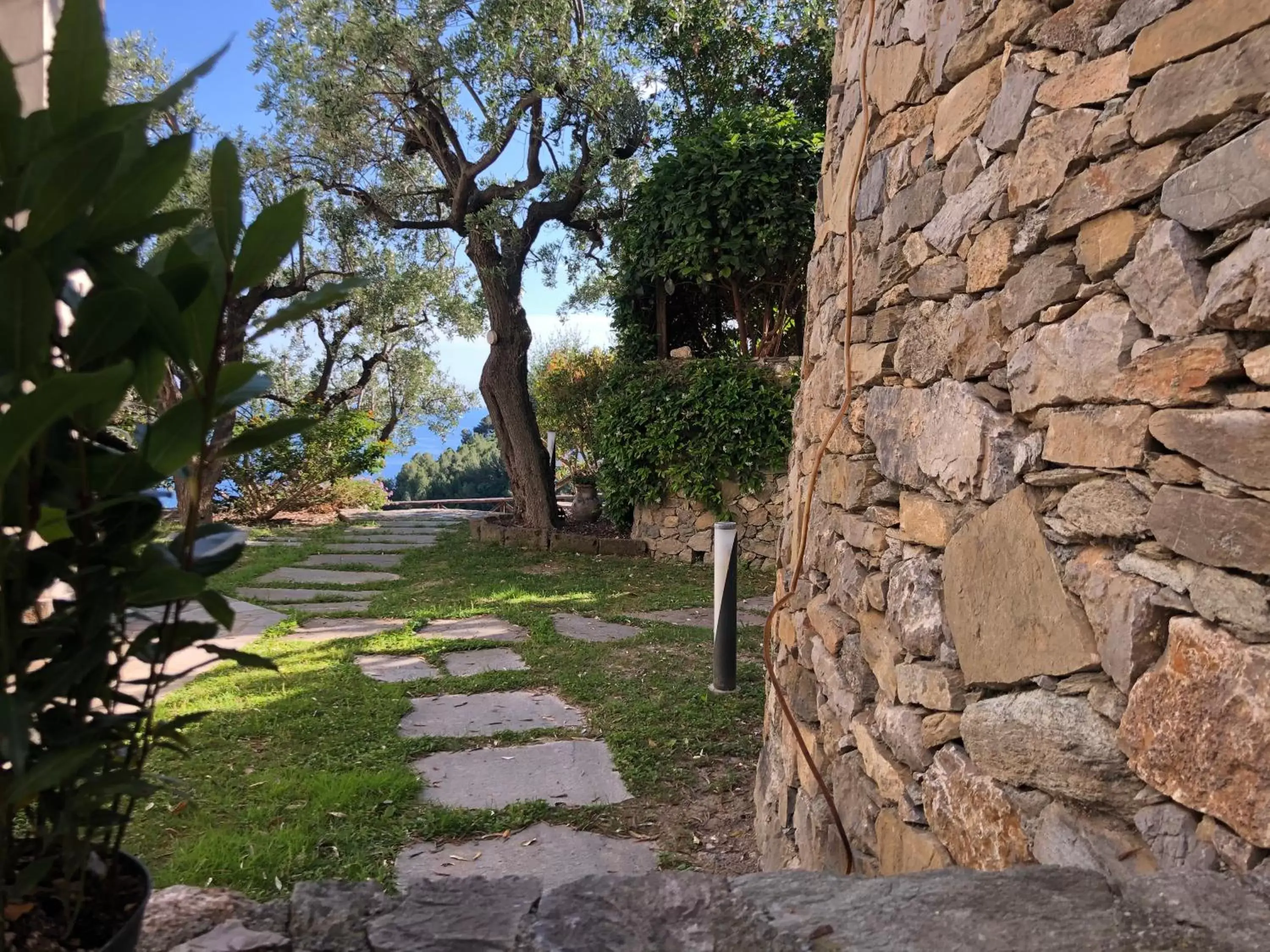 Garden view in Villa Degli Ulivi B&B