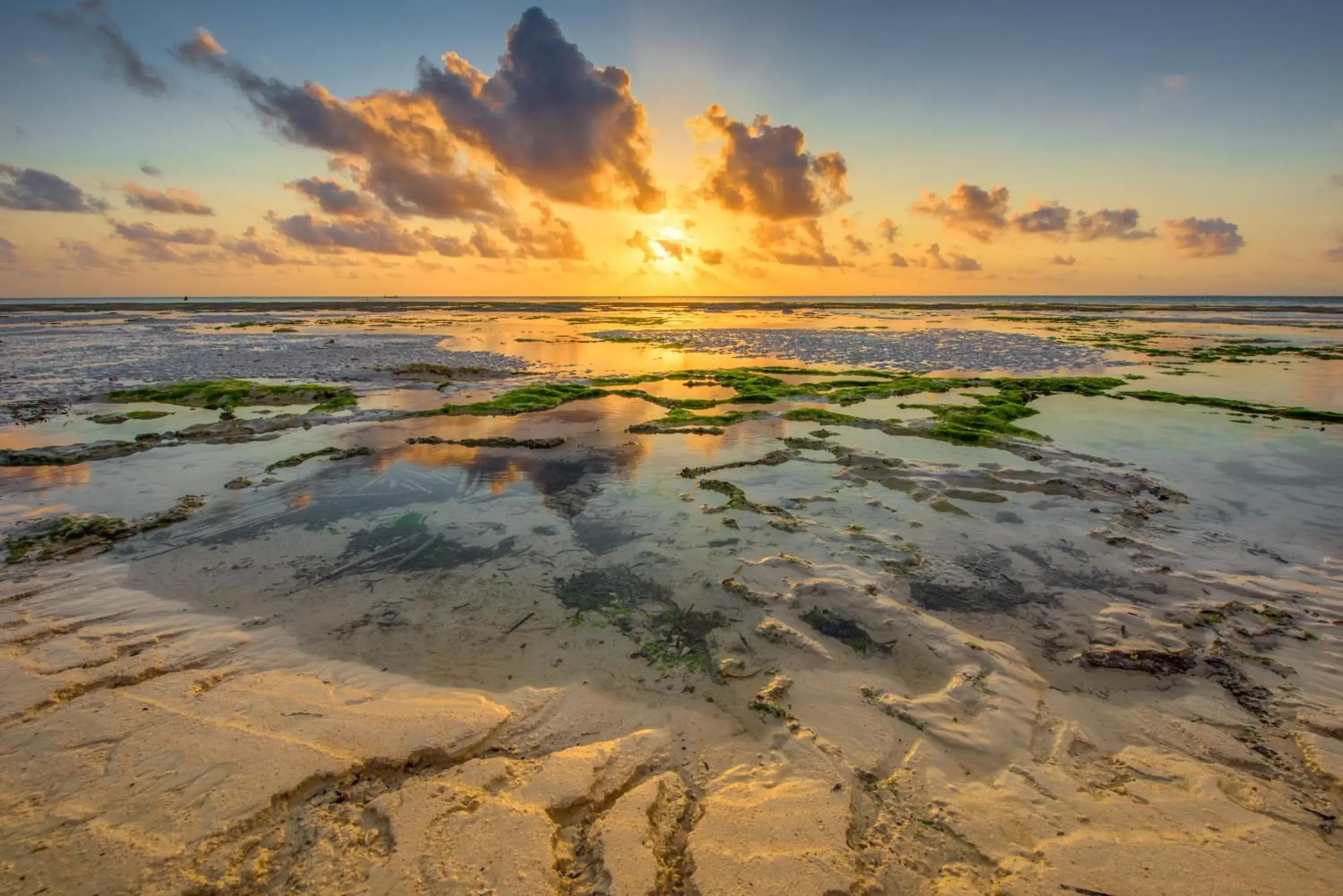 Natural landscape, Beach in Hakuna Majiwe Beach Lodge Zanzibar