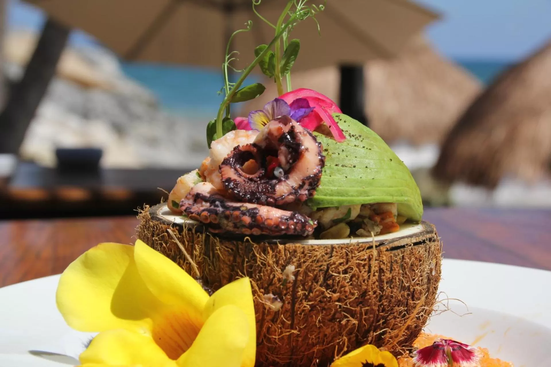 Food and drinks in Maria Del Mar Tulum - Adults Only