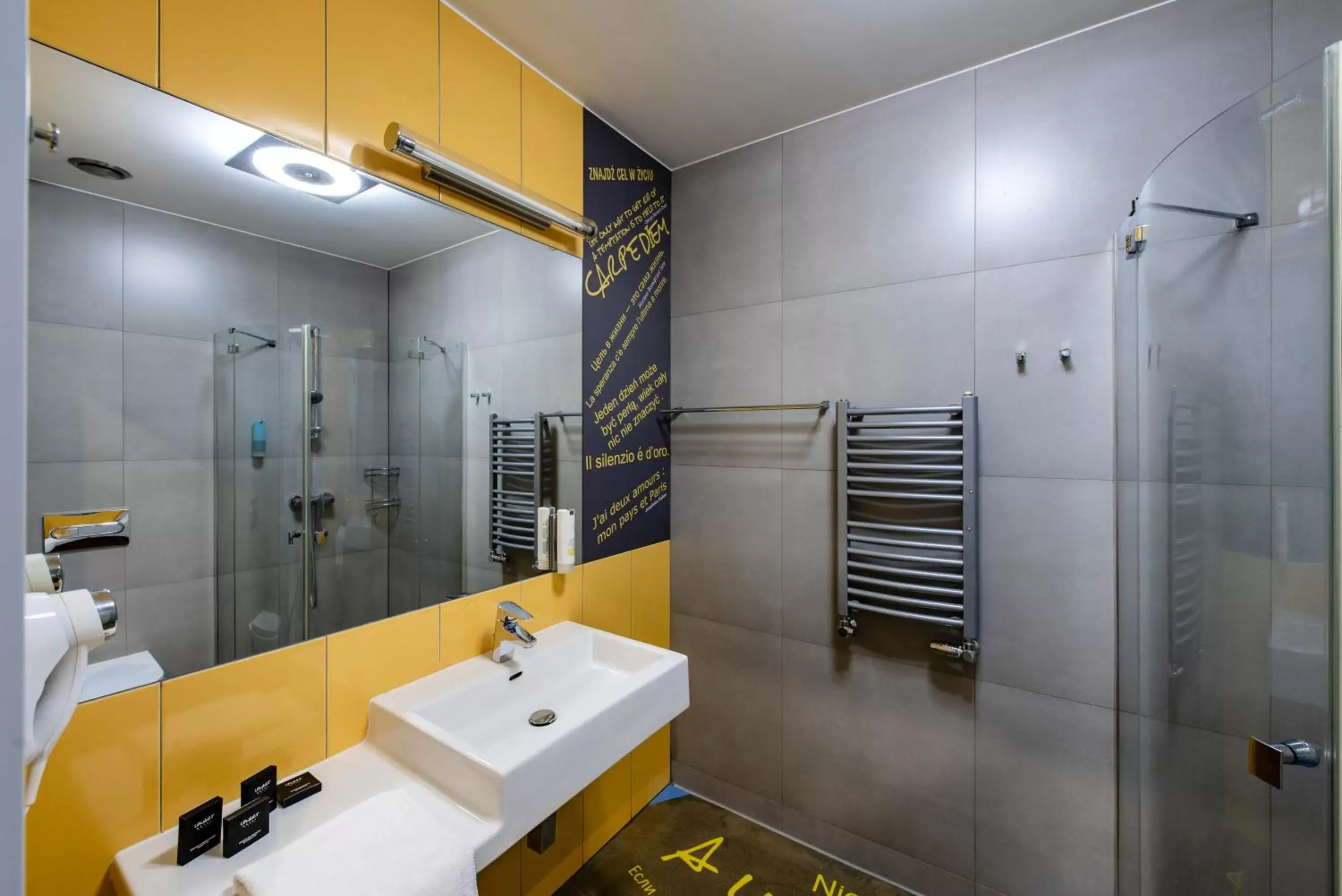 Shower, Bathroom in Hotel Lenart