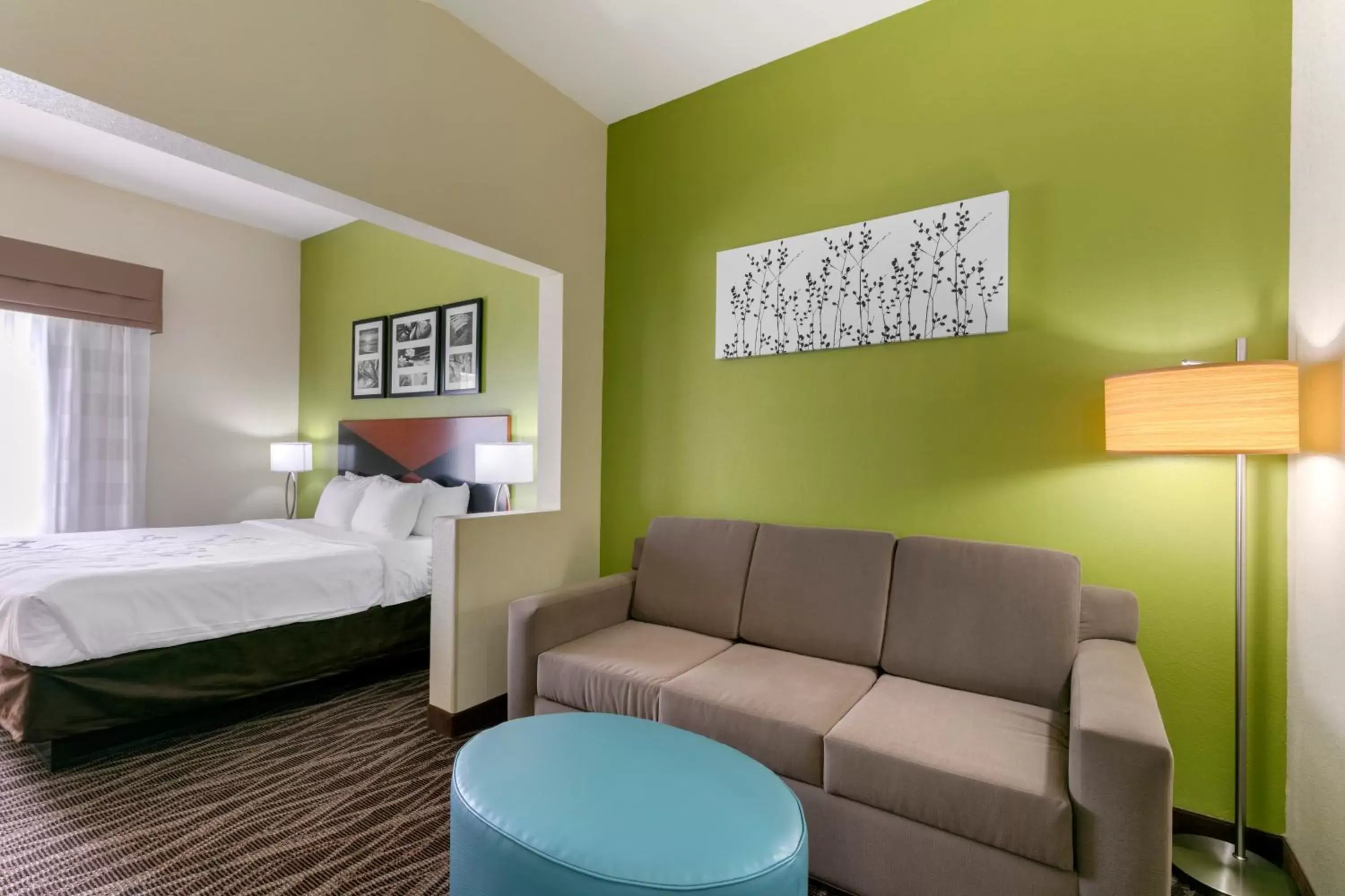 King Suite - Non-Smoking in Sleep Inn & Suites Montgomery East I-85