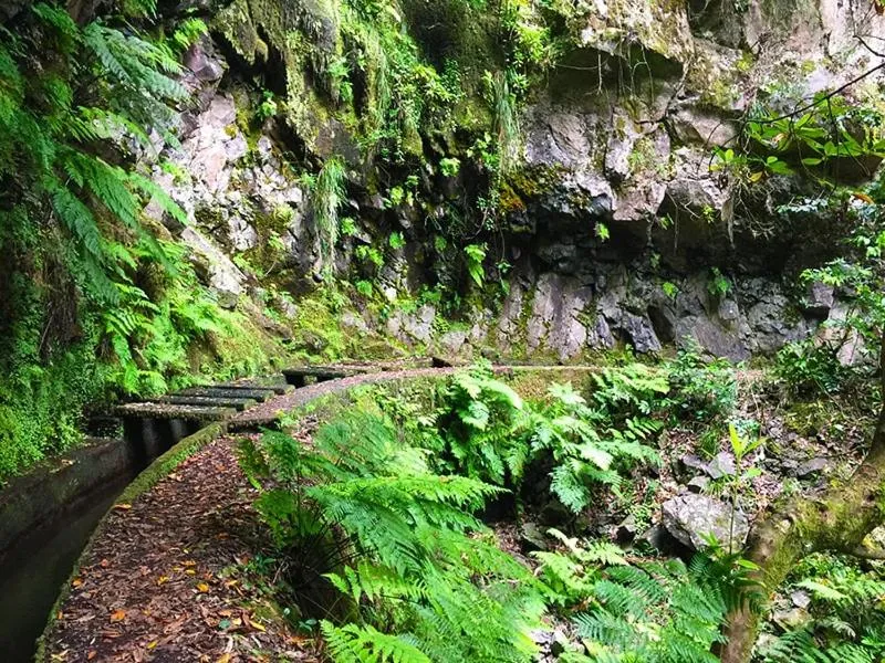 Hiking in Hotel Salgueiro