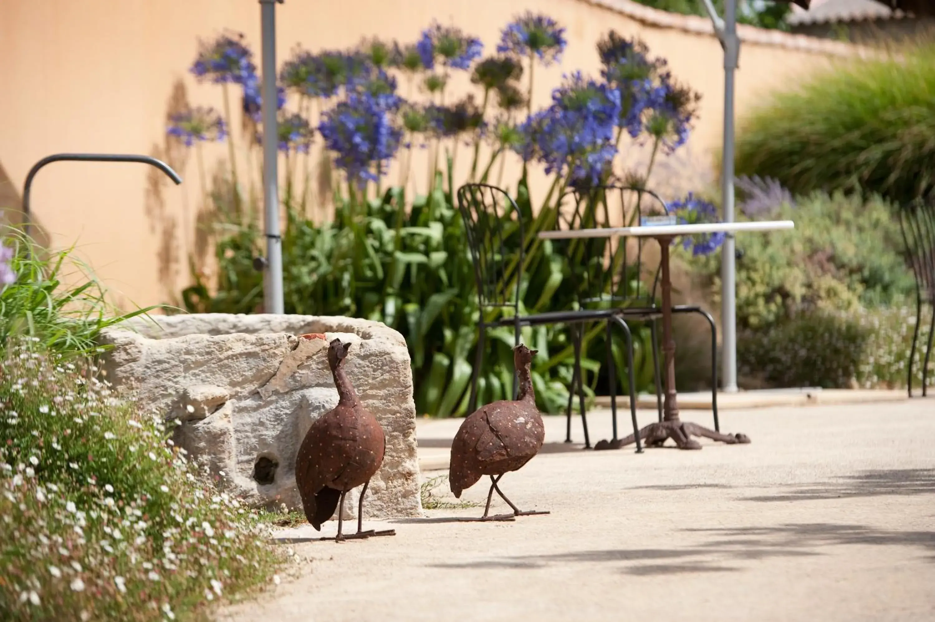 Patio, Other Animals in Aquae Sinis Albergo Diffuso