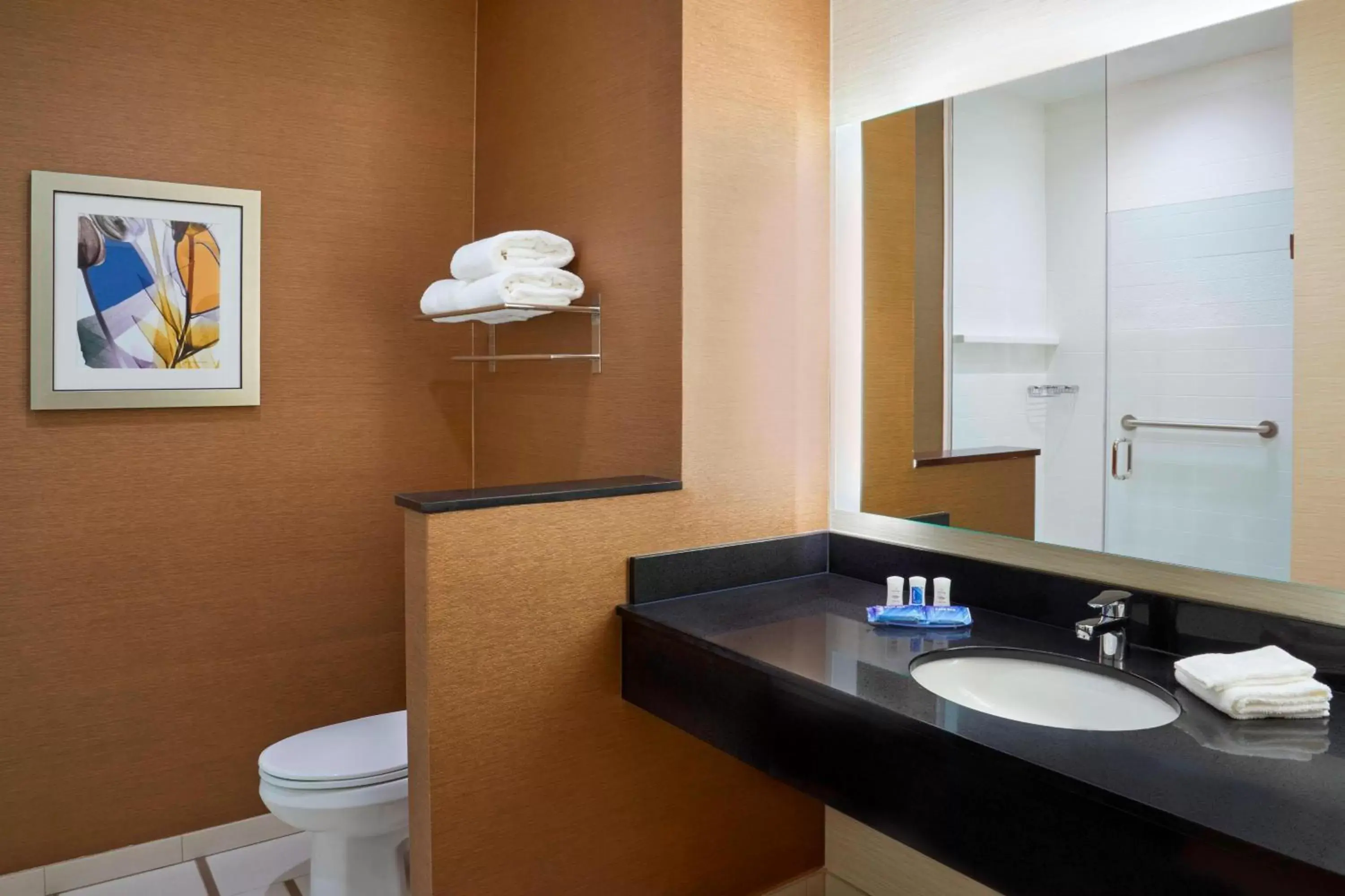 Bathroom in Fairfield by Marriott Niagara Falls