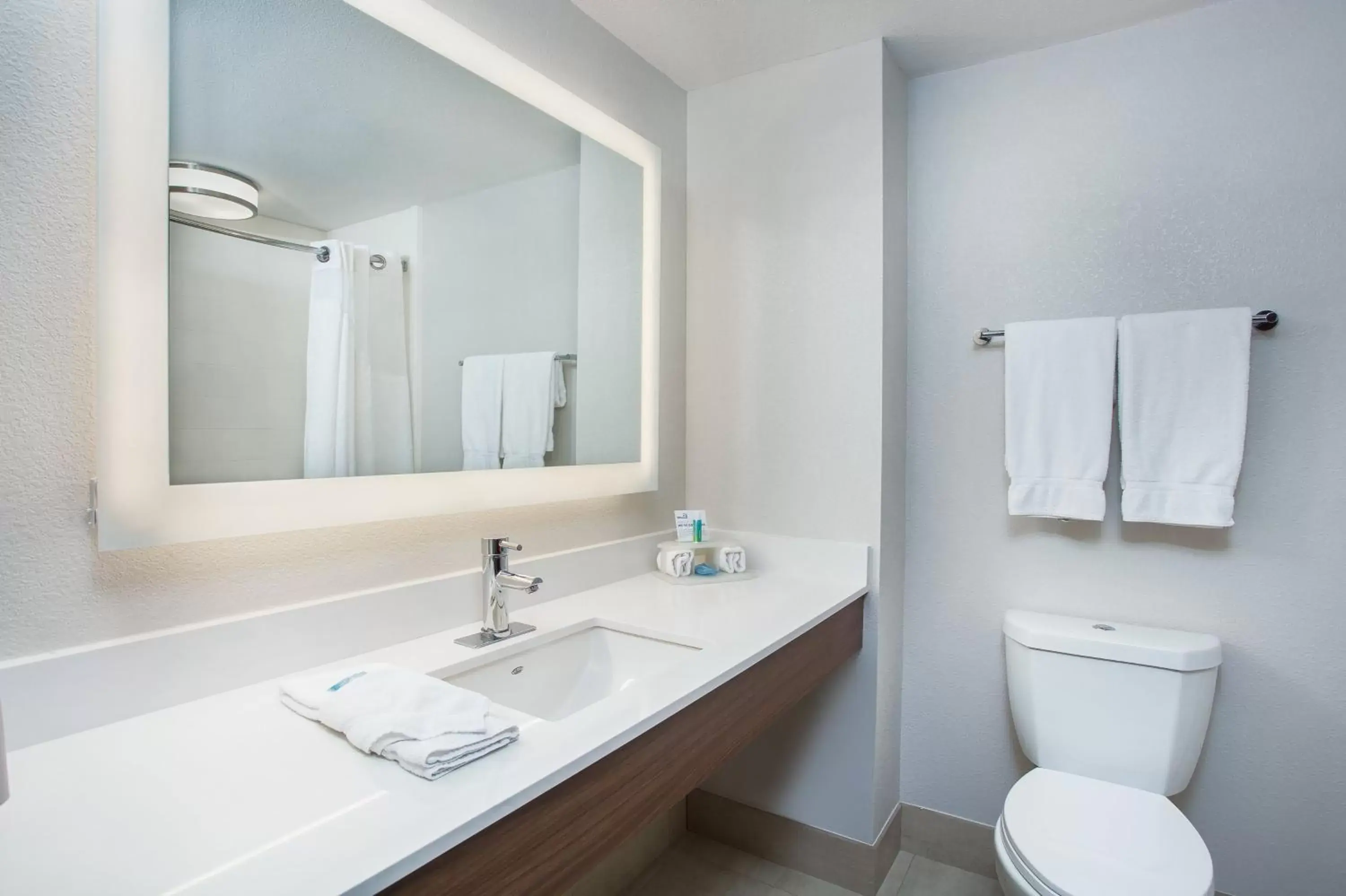 Bathroom in Holiday Inn Express & Suites Lebanon-Nashville Area, an IHG Hotel