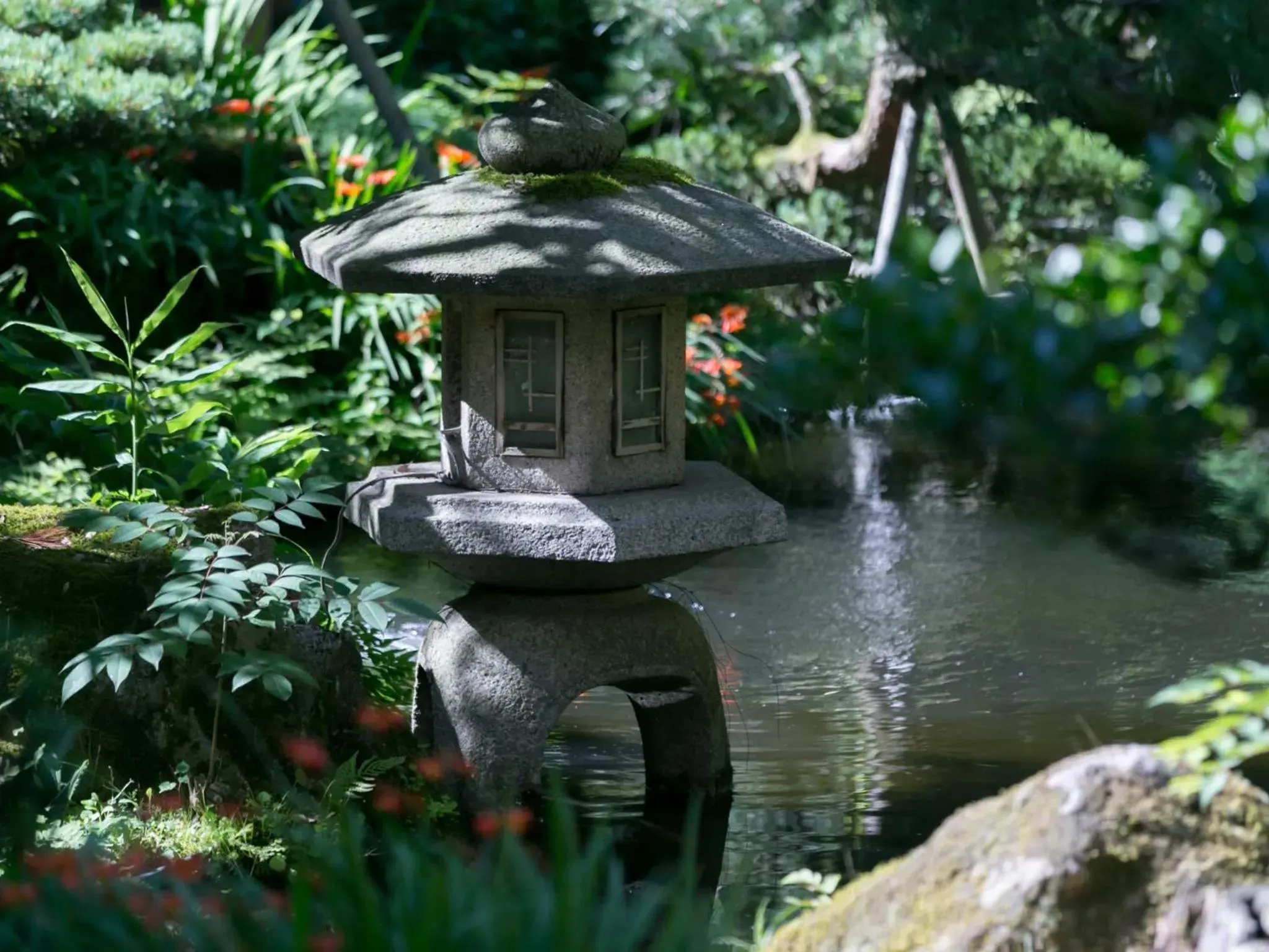 Garden in Hoshi