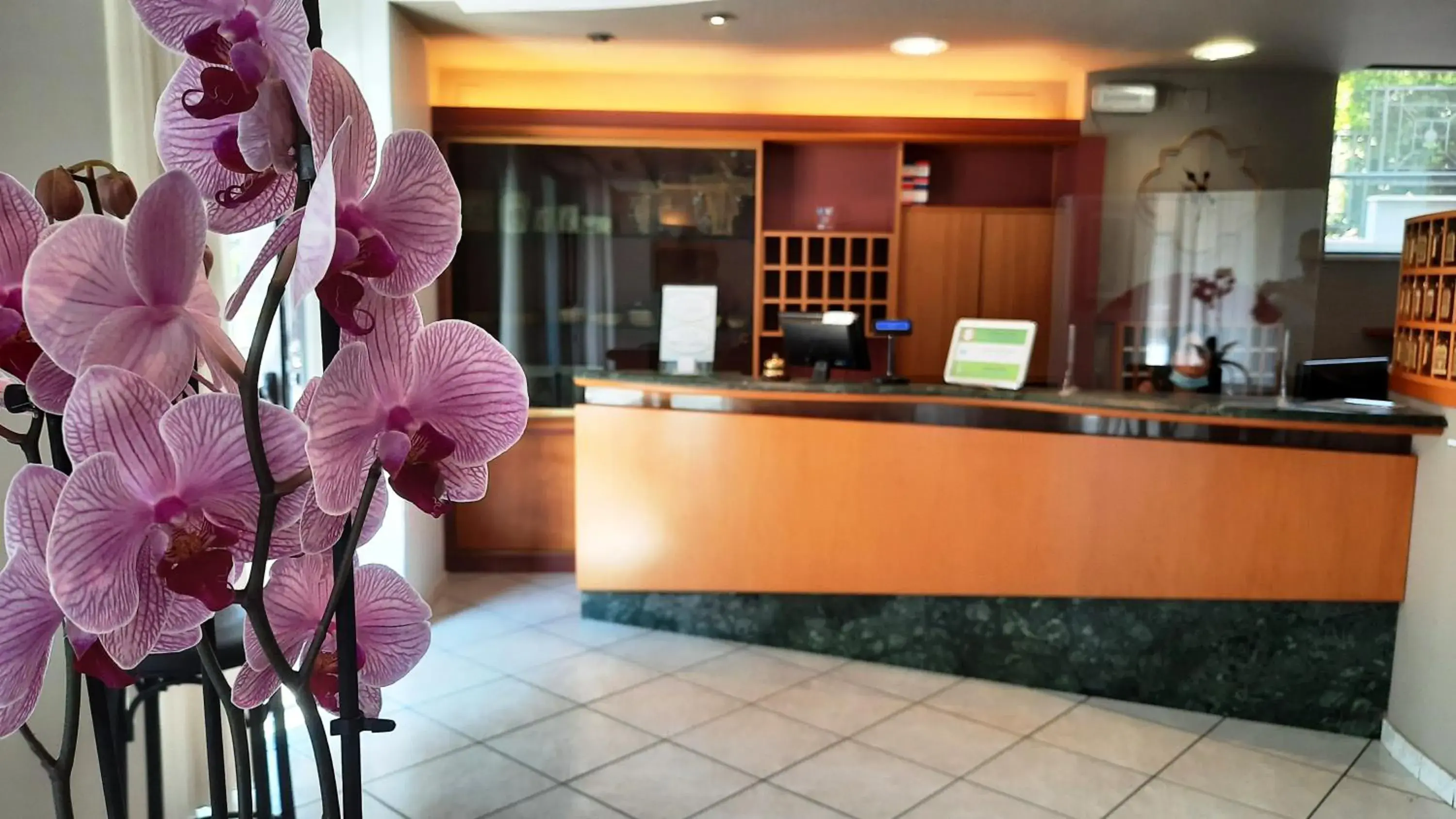 Spring, Lobby/Reception in Hotel Colonne - Alihotels