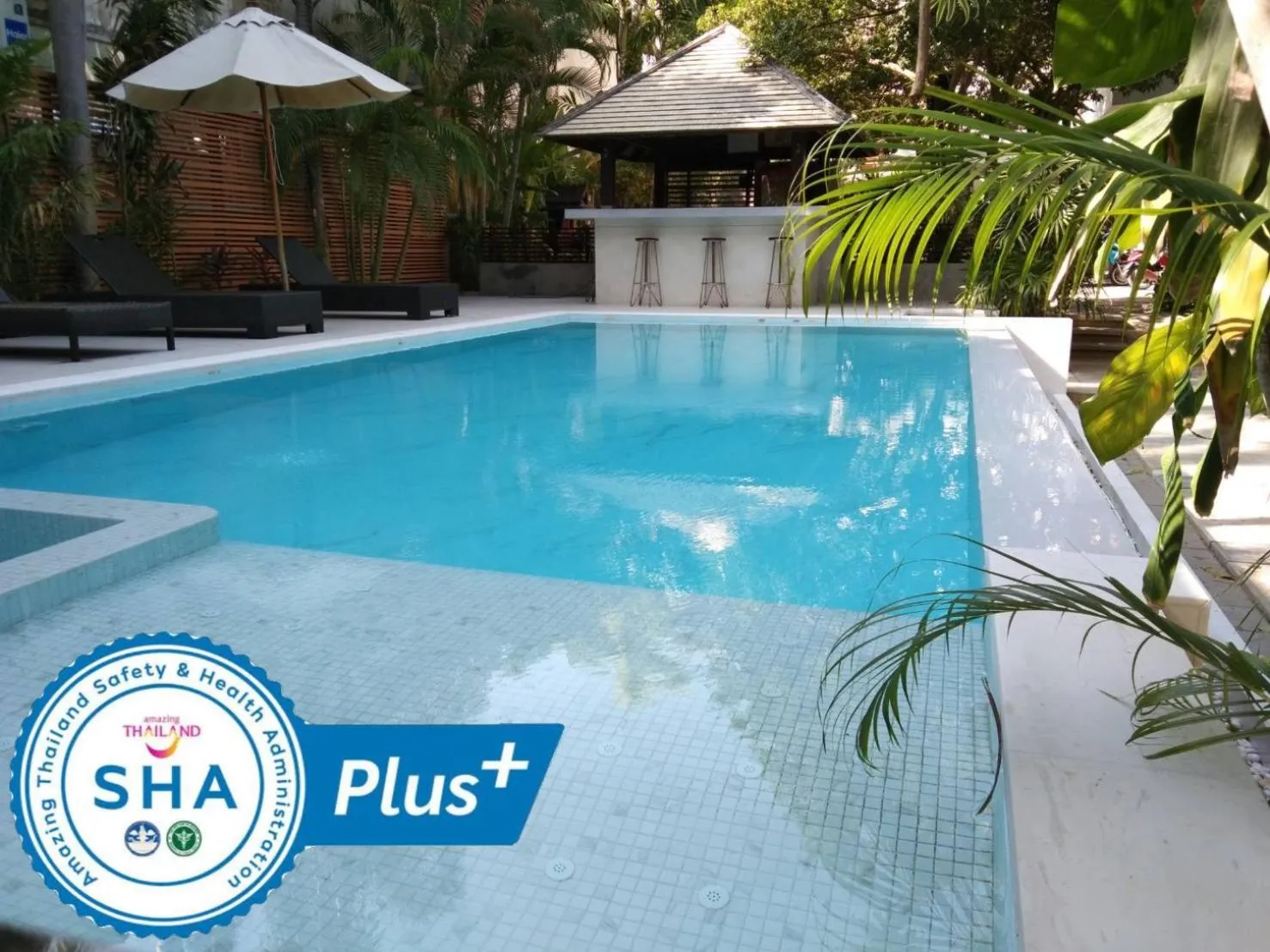 Swimming pool in Evergreen Resort