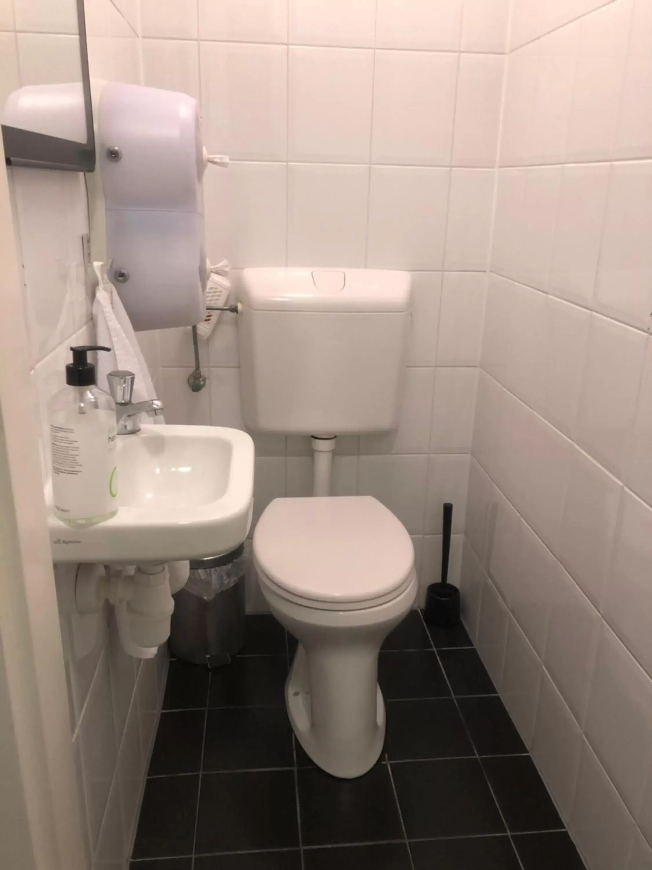 Toilet, Bathroom in Hotel Hortus