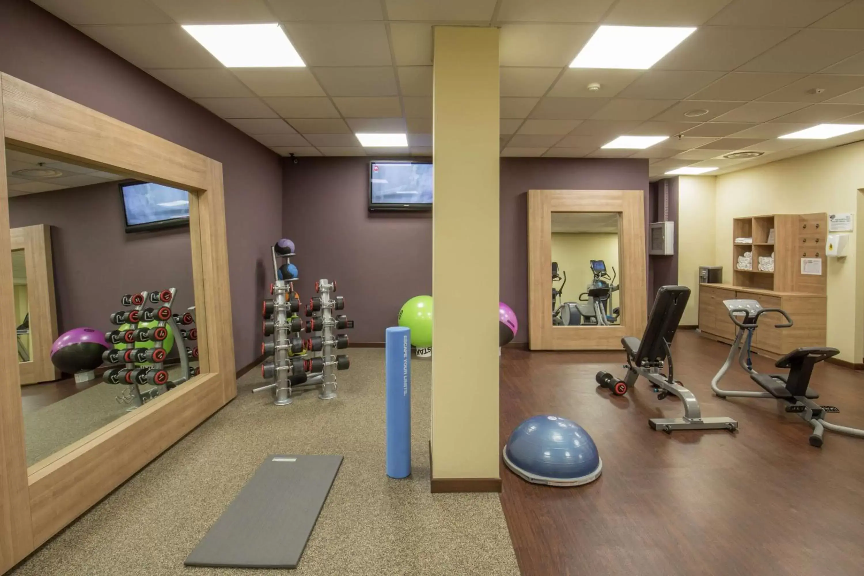 Fitness centre/facilities, Fitness Center/Facilities in DoubleTree By Hilton Milan