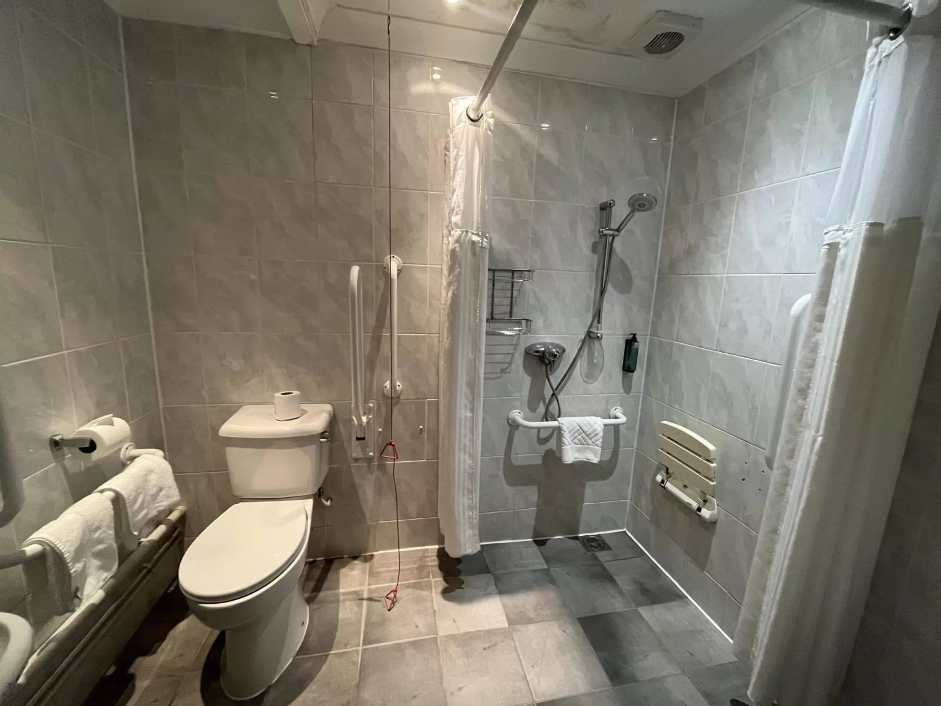 Toilet, Bathroom in Avisford Park Hotel