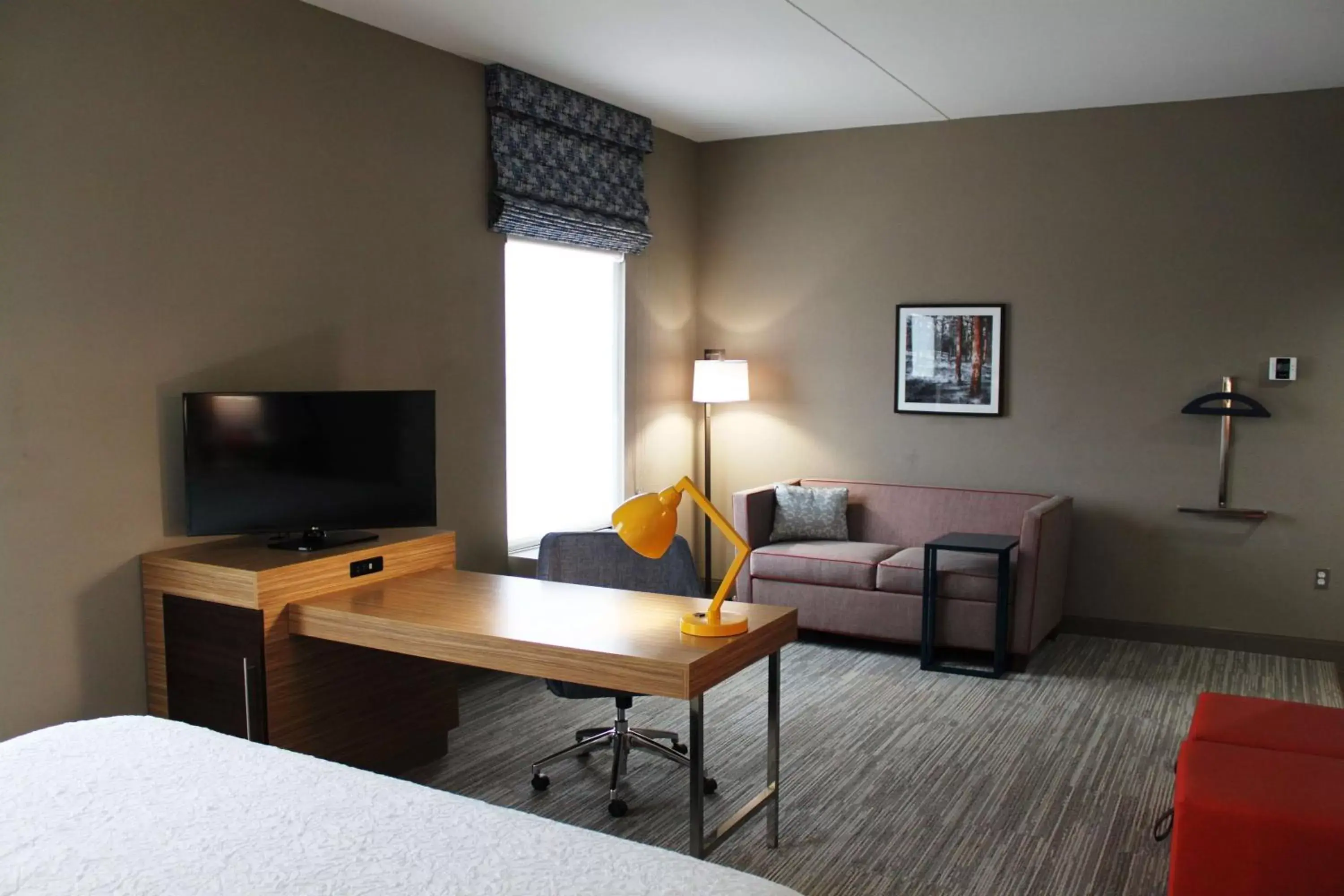 King Studio Suite - Non Smoking in Hampton Inn Forsyth King Studio Suite - Non Smoking in Hampton Inn Forsyth